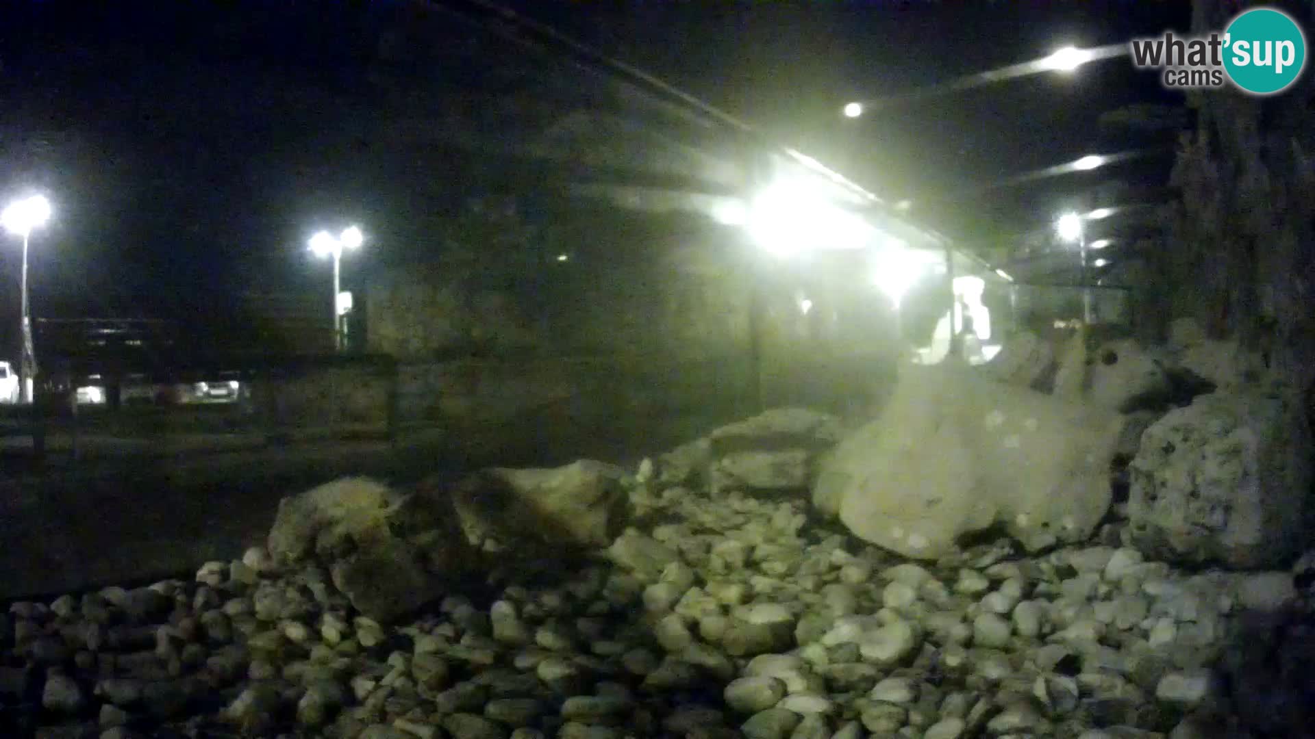 Aquario marino esterno –  Rogoznica livecam Croazia