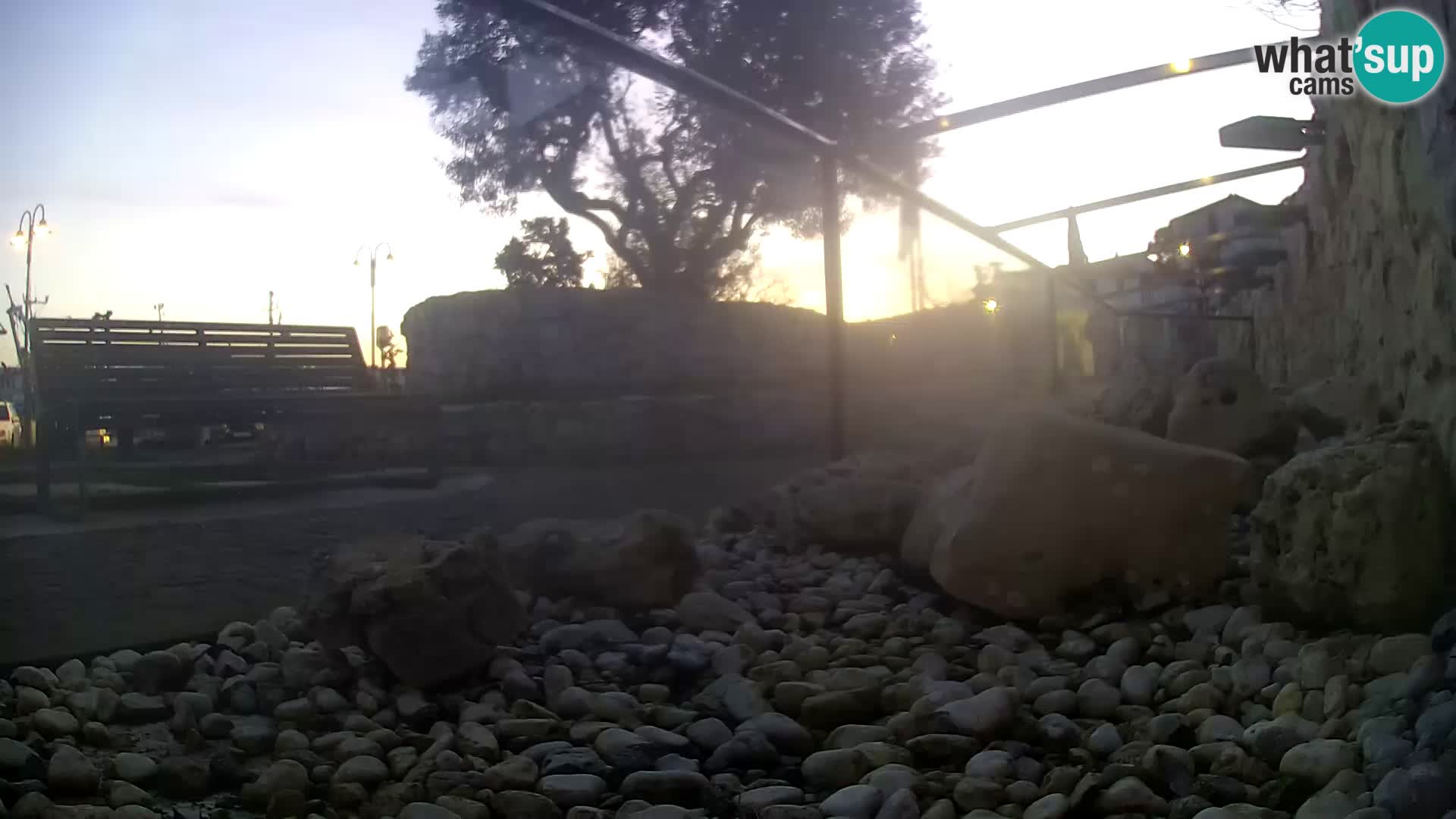 Aquario marino esterno –  Rogoznica livecam Croazia