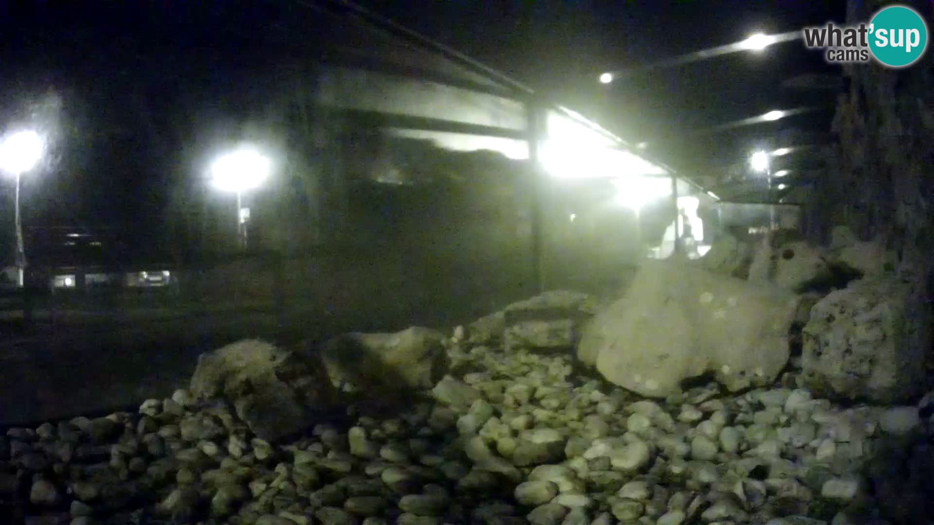 Vanjski morski akvarij Rogoznica web kamera Hrvatska