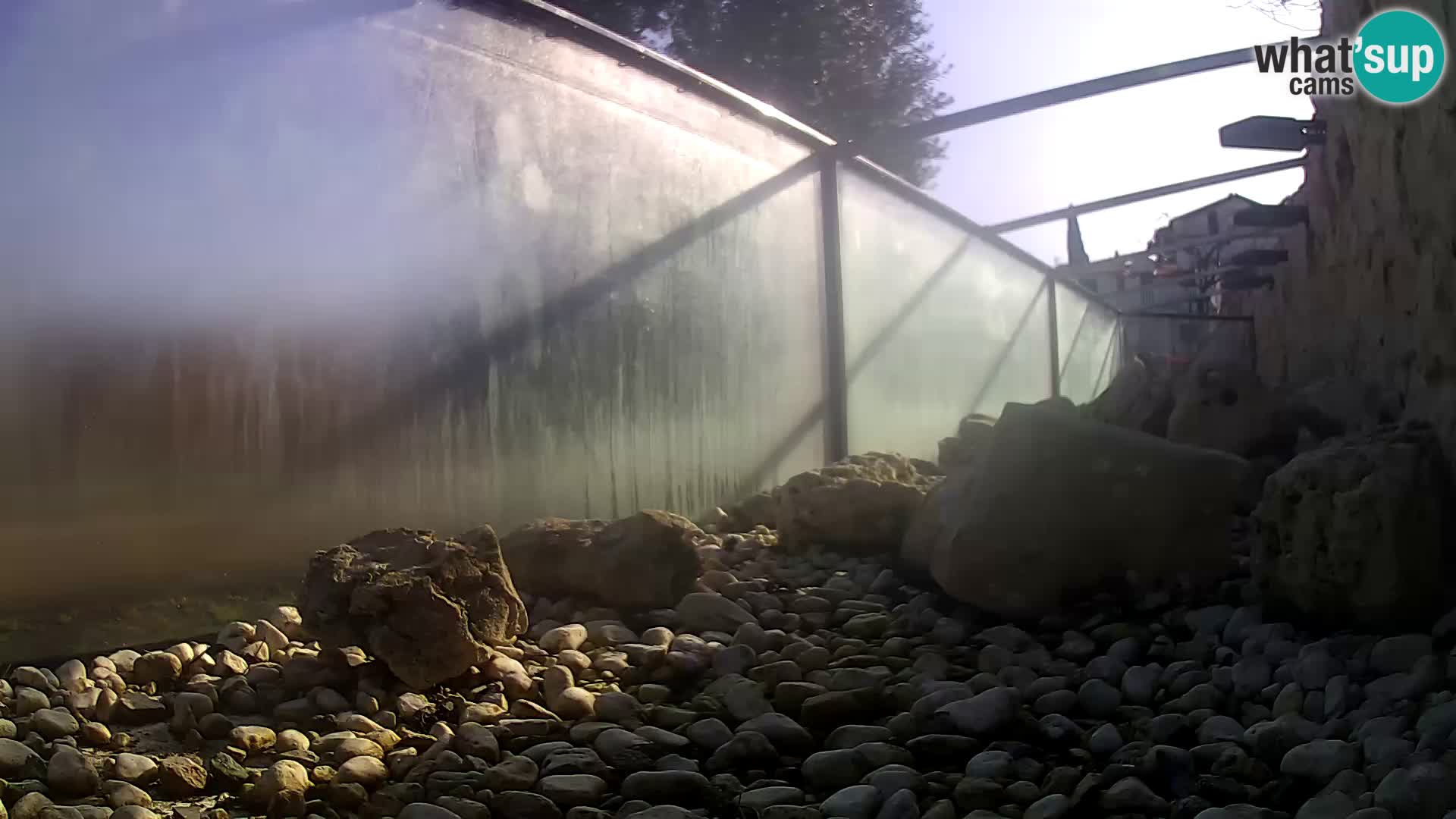 Acuario marino al aire libre Rogoznica webcam Croacia