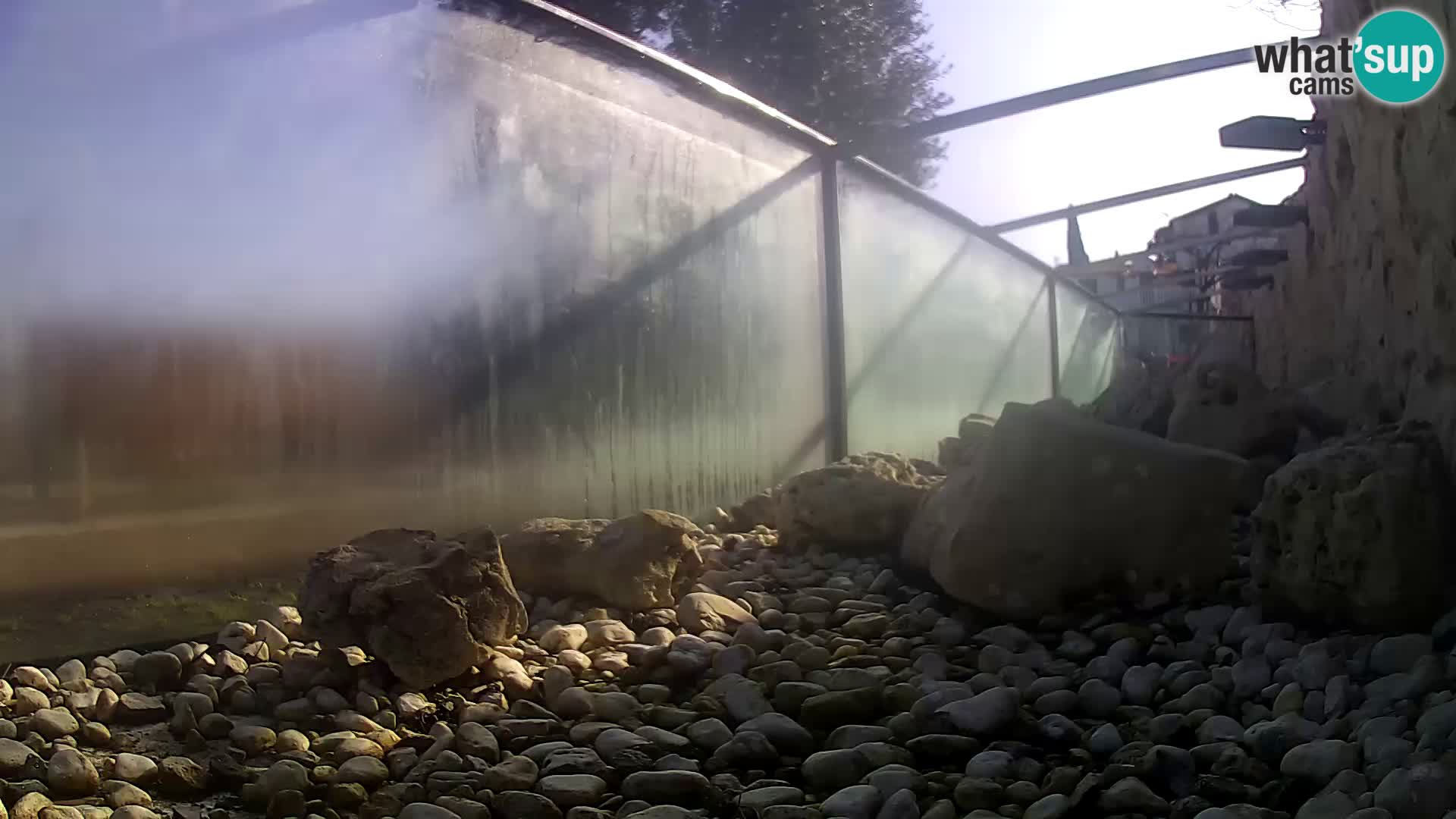 Acuario marino al aire libre Rogoznica webcam Croacia