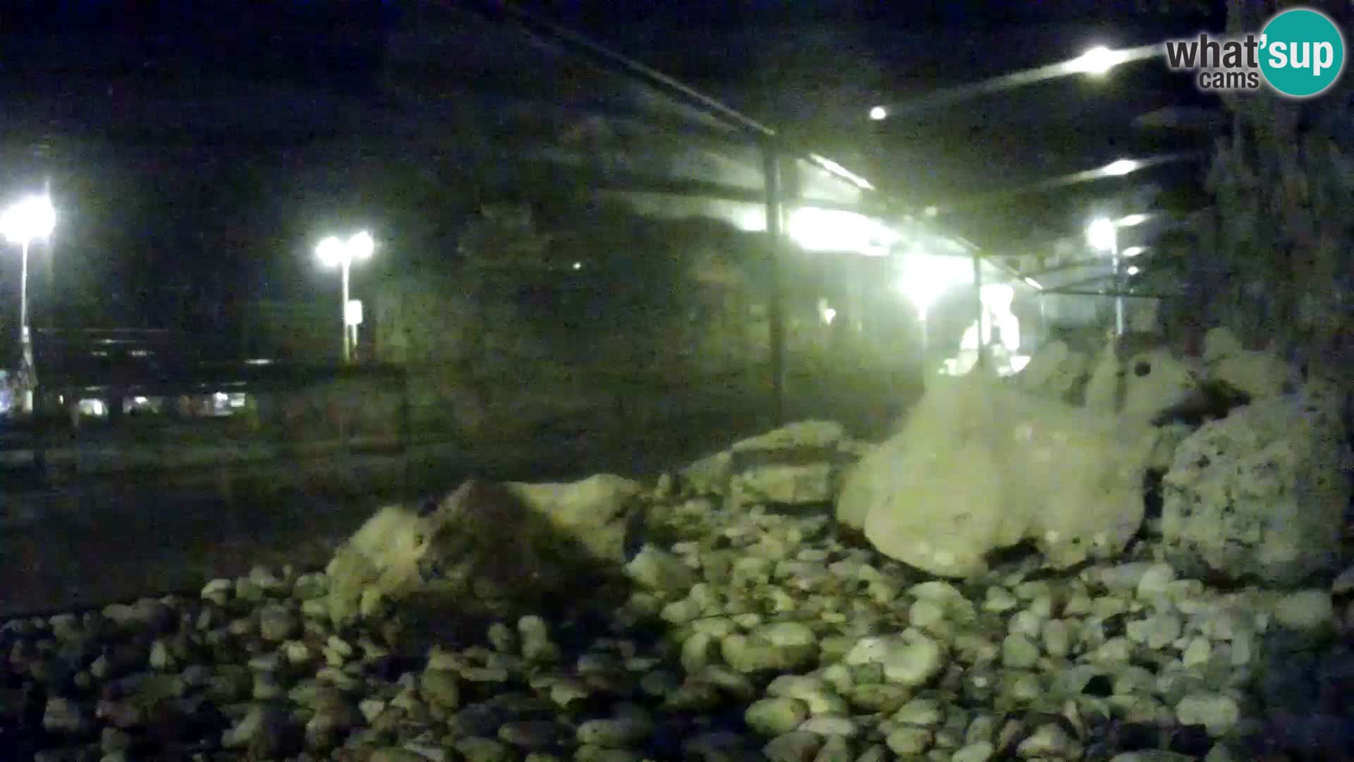 Vanjski morski akvarij Rogoznica web kamera Hrvatska