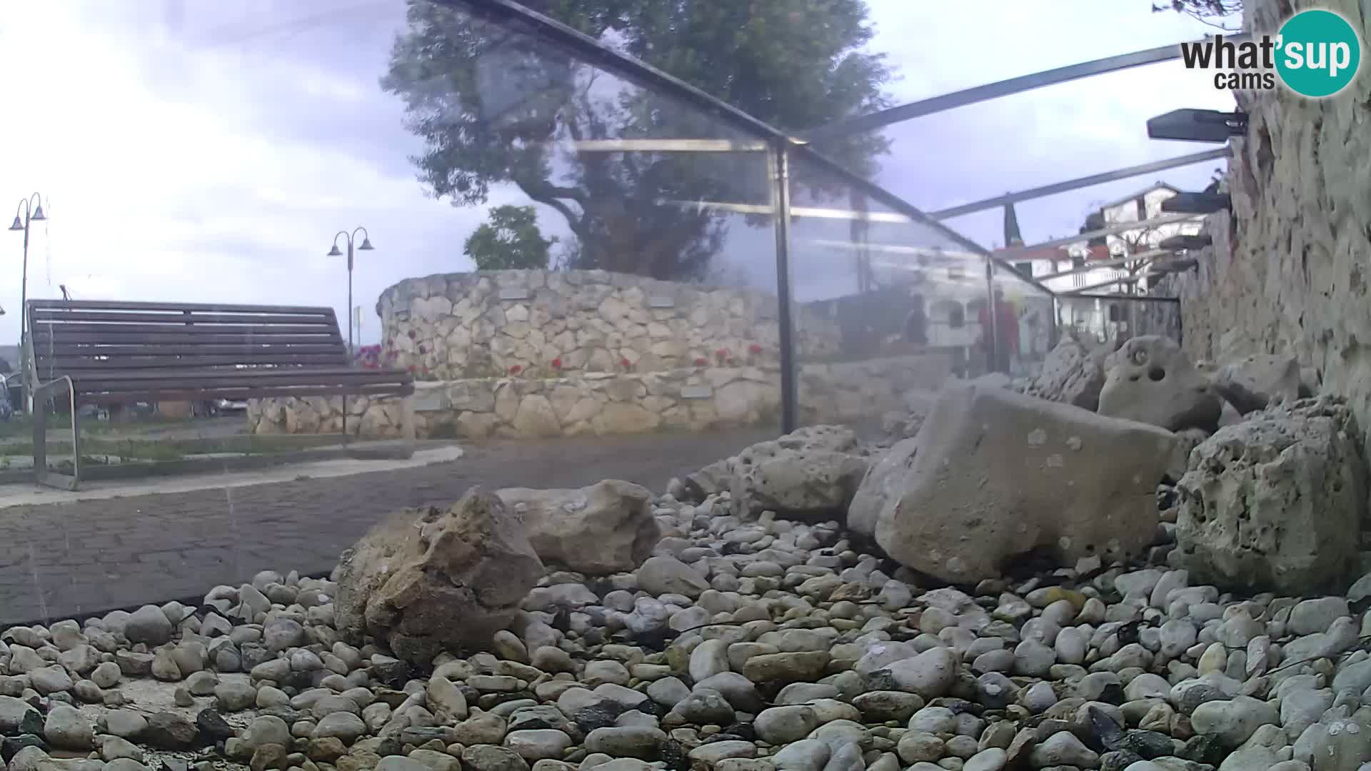 Acuario marino al aire libre Rogoznica webcam Croacia