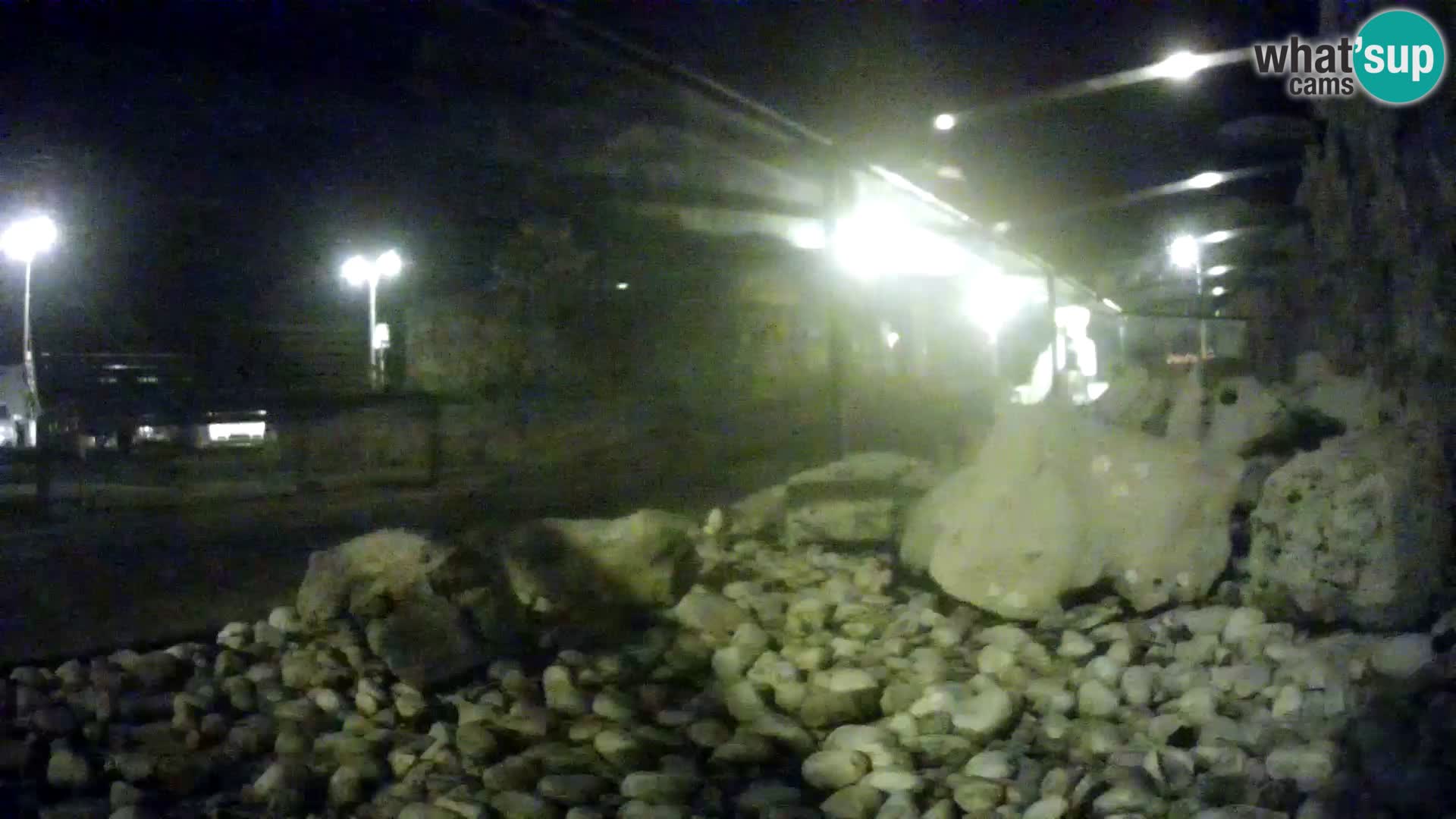 Webcam de l’aquarium marin extérieur de Rogoznica Croatie