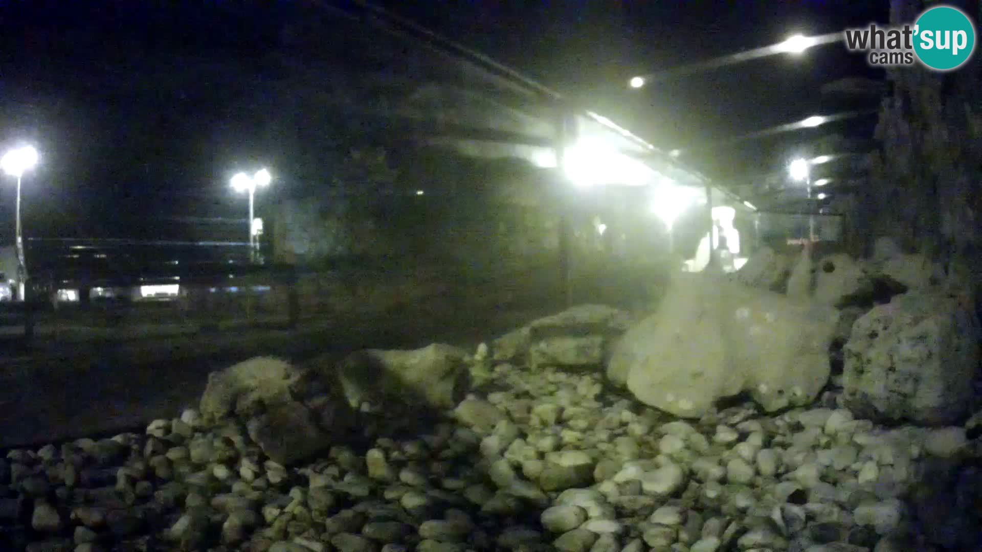 Aquario marino esterno –  Rogoznica livecam Croazia