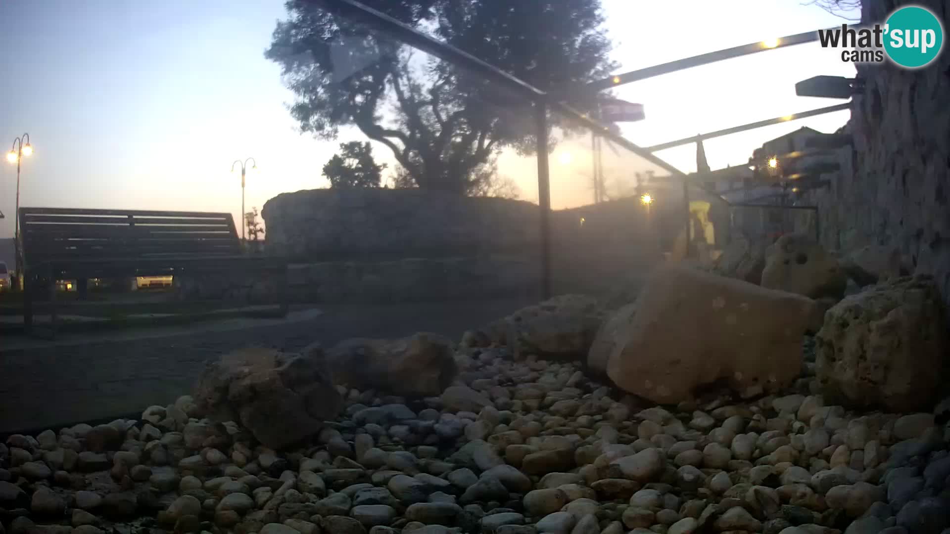 Aquario marino esterno –  Rogoznica livecam Croazia