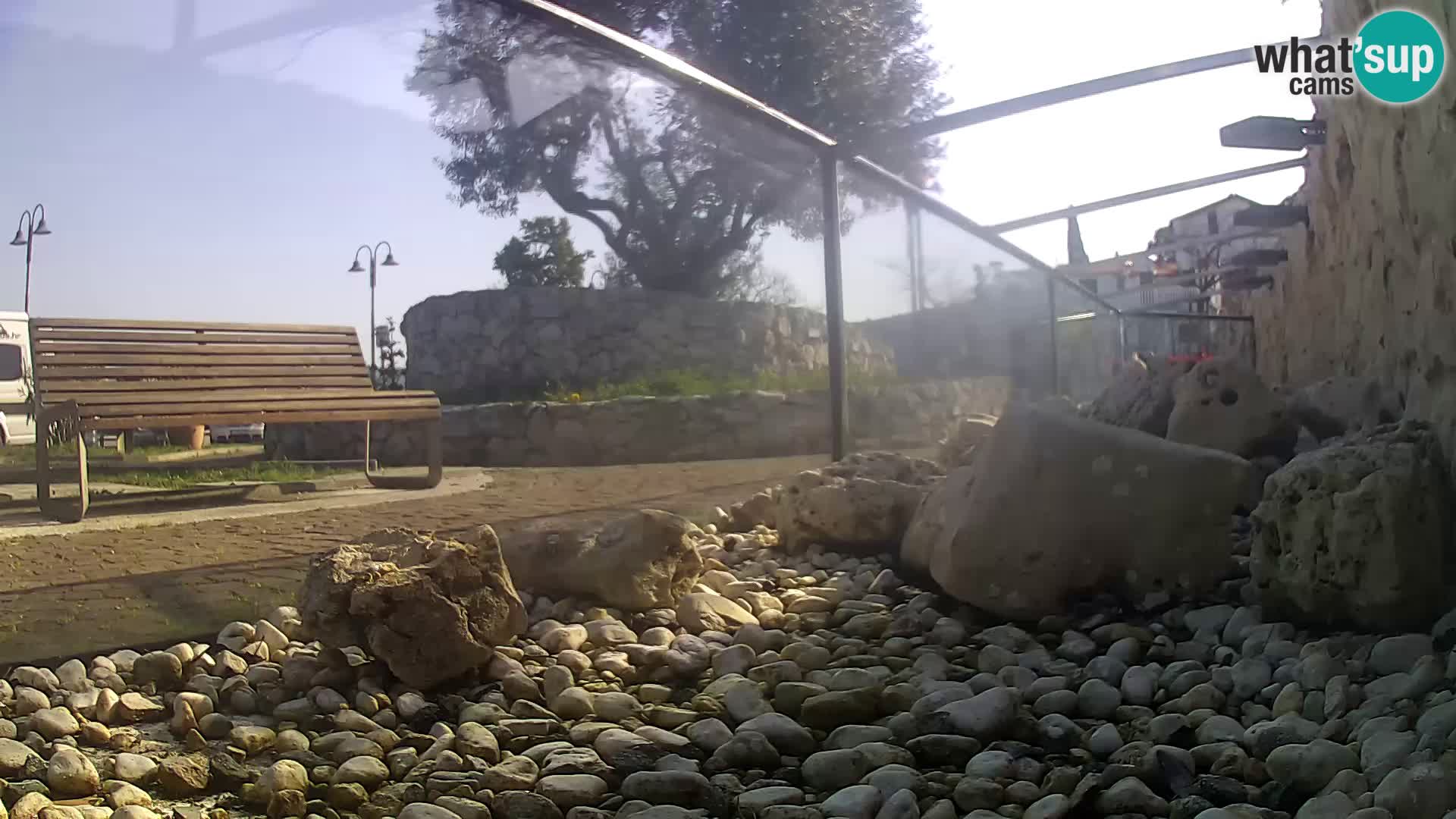 Vanjski morski akvarij Rogoznica web kamera Hrvatska