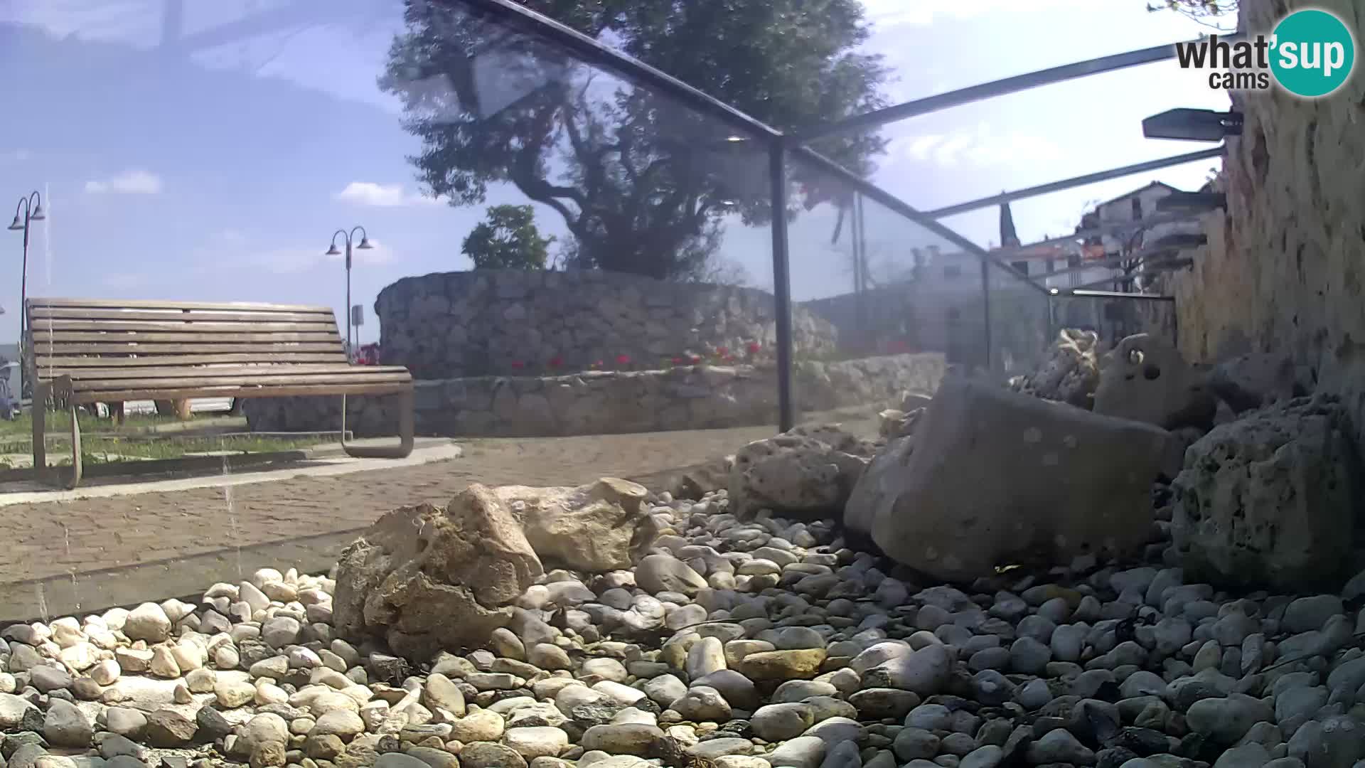 Outdoor Marine Aquarium Rogoznica webcam Croatia