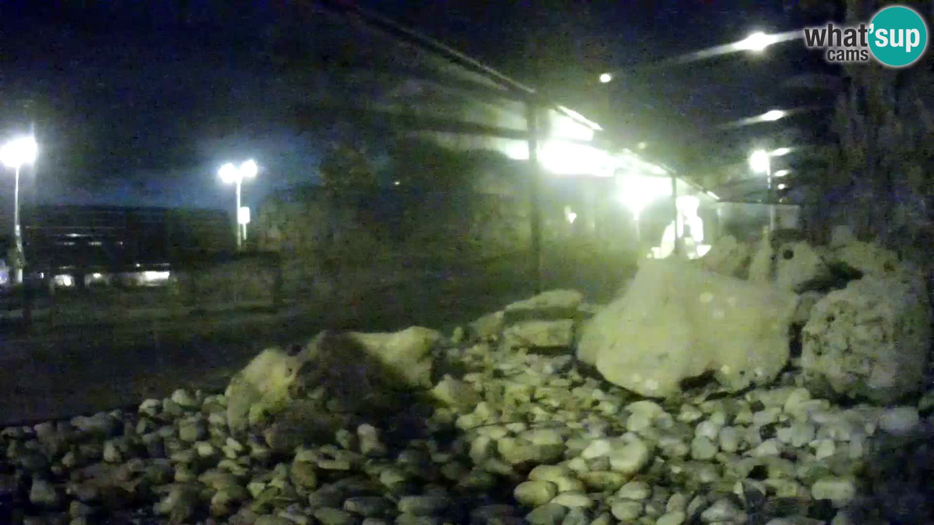 Marine Aquarium im Freien Rogoznica webcam Kroatien