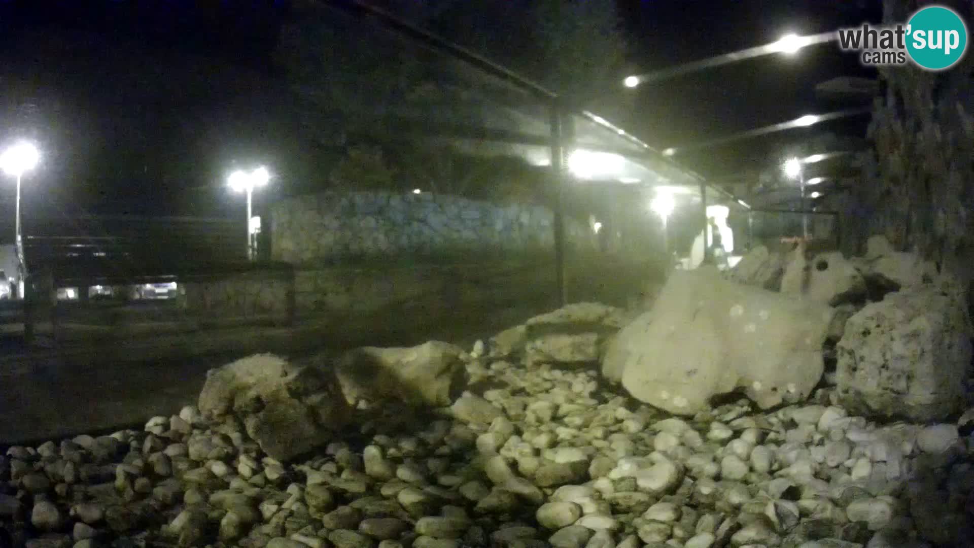 Acuario marino al aire libre Rogoznica webcam Croacia