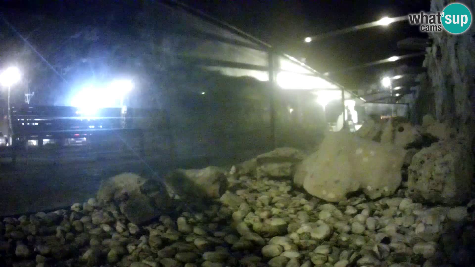 Zunanji morski akvarij Rogoznica spletna kamera Hrvaška