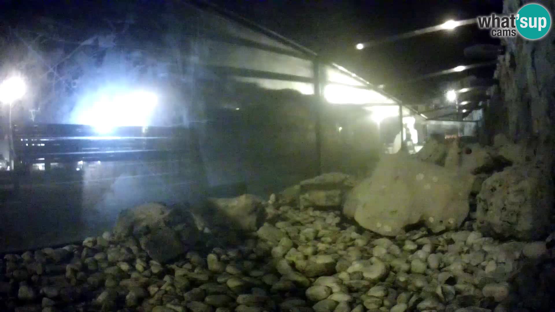 Outdoor Marine Aquarium Rogoznica webcam Croatia