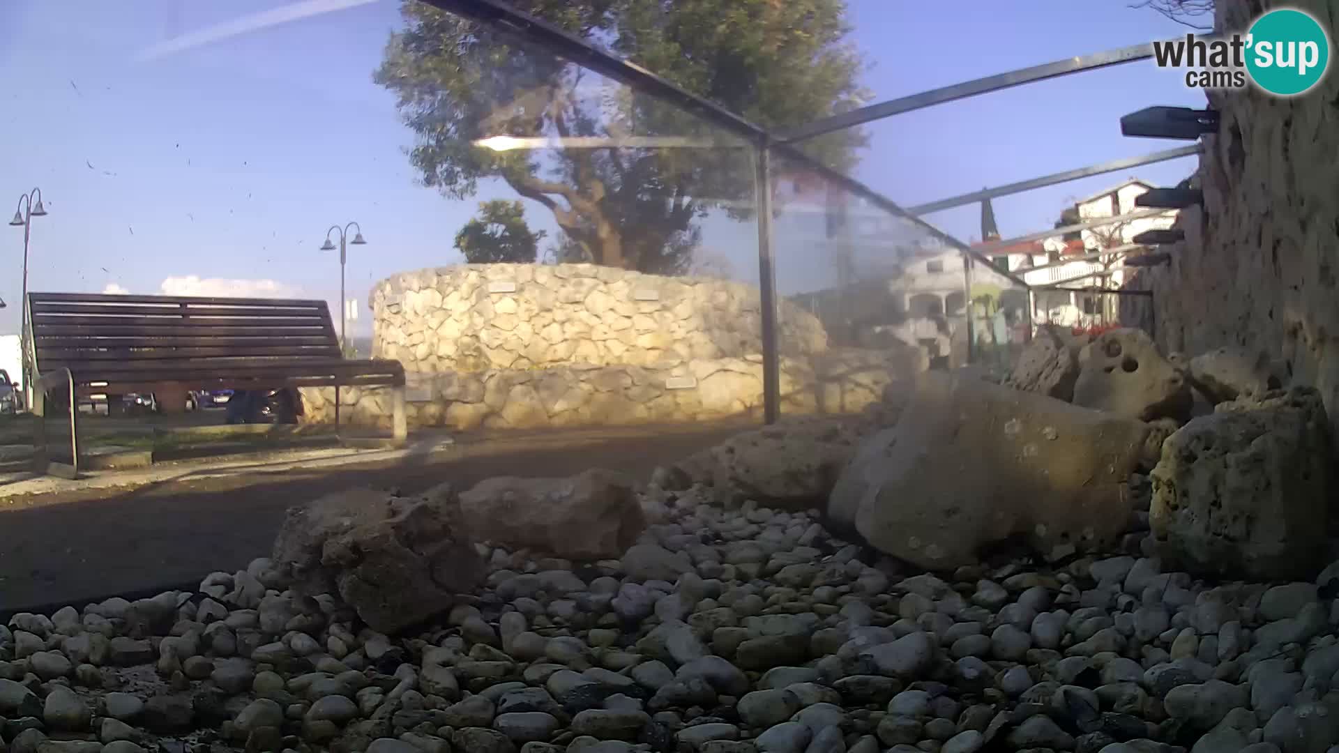 Zunanji morski akvarij Rogoznica spletna kamera Hrvaška