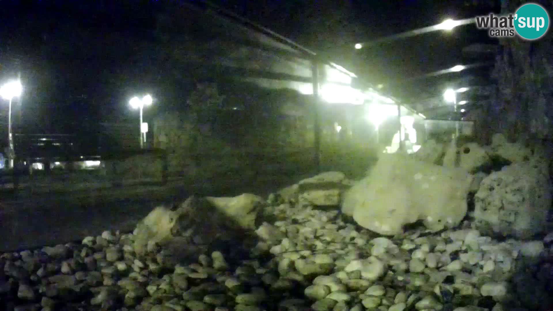 Marine Aquarium im Freien Rogoznica webcam Kroatien