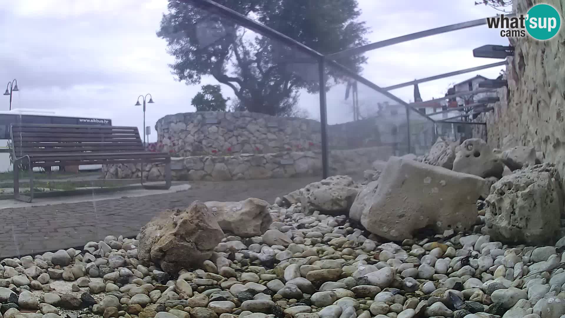 Zunanji morski akvarij Rogoznica spletna kamera Hrvaška