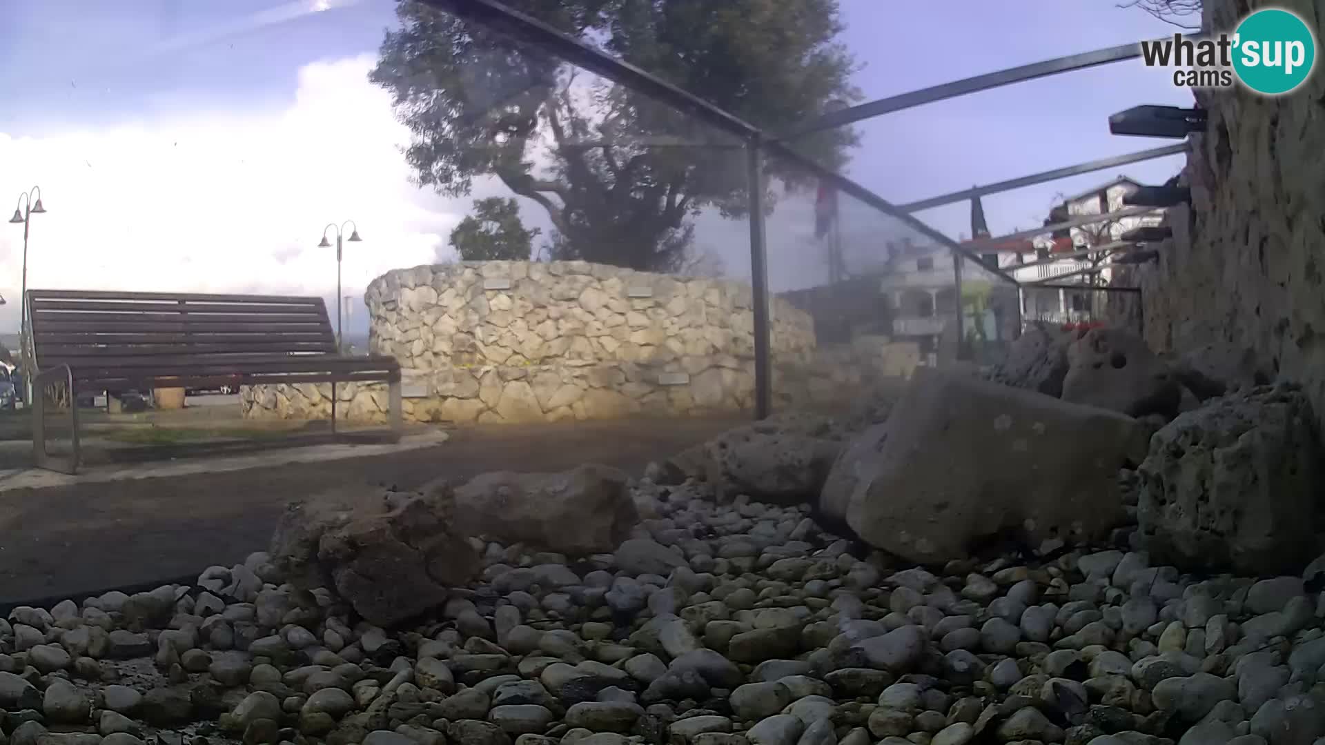 Vanjski morski akvarij Rogoznica web kamera Hrvatska