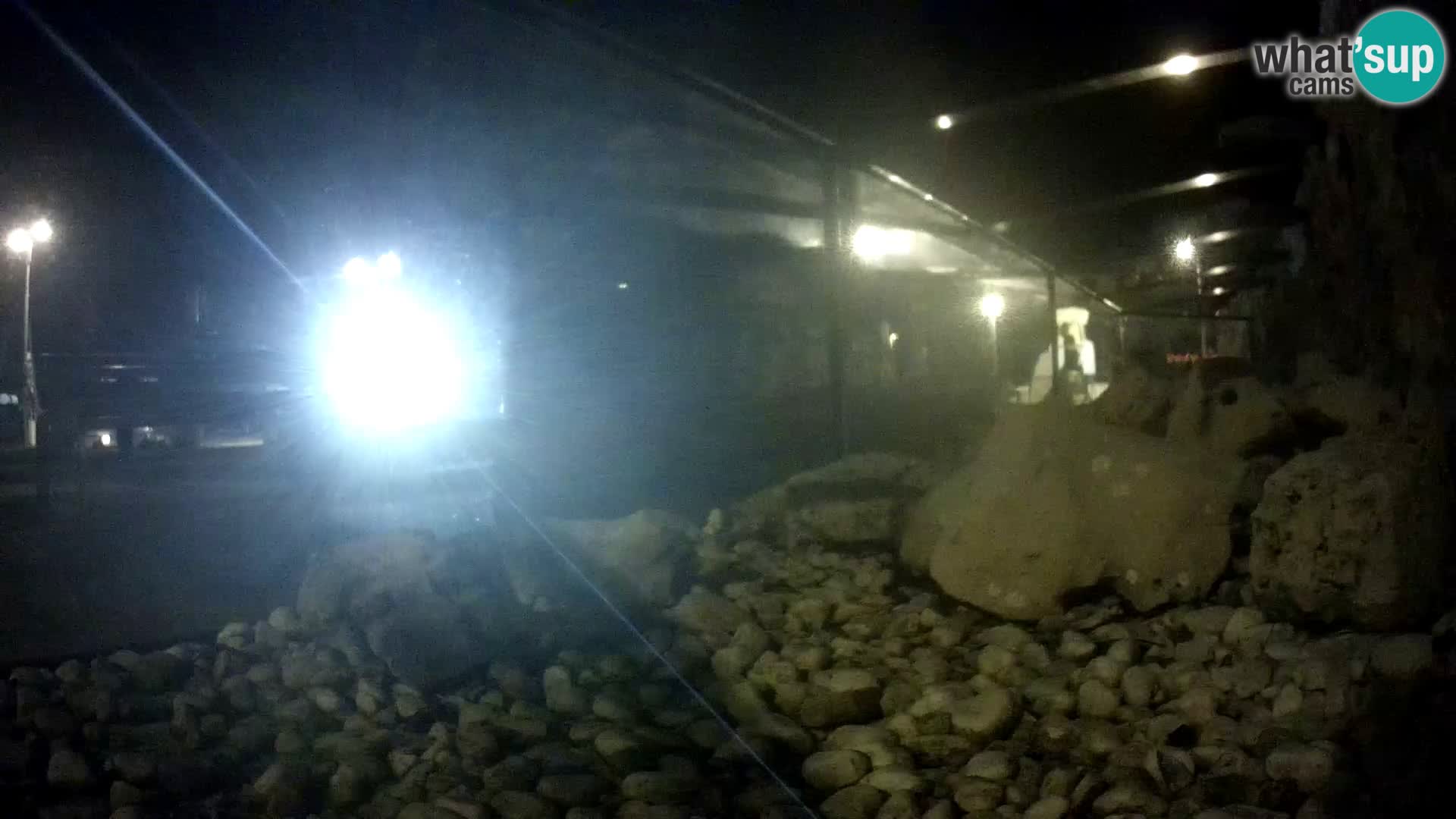 Aquario marino esterno –  Rogoznica livecam Croazia