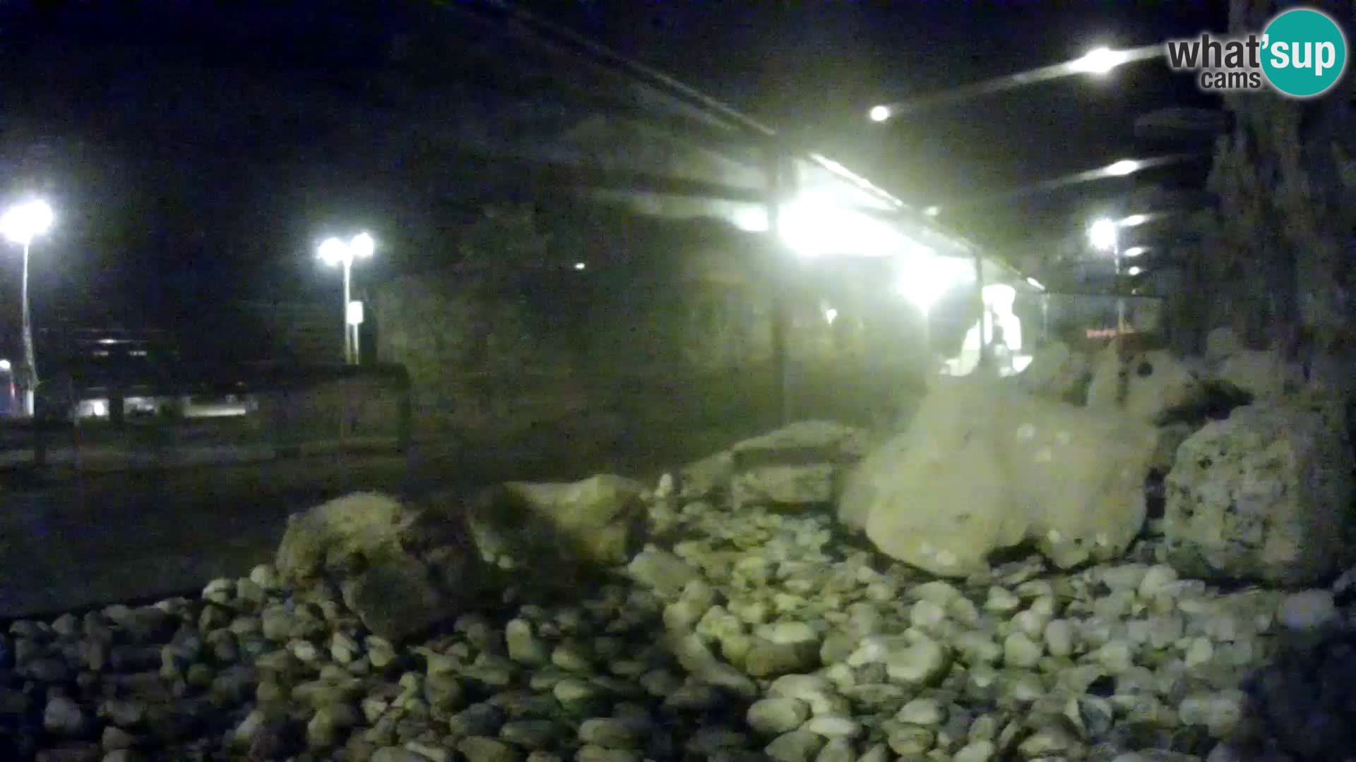 Acuario marino al aire libre Rogoznica webcam Croacia