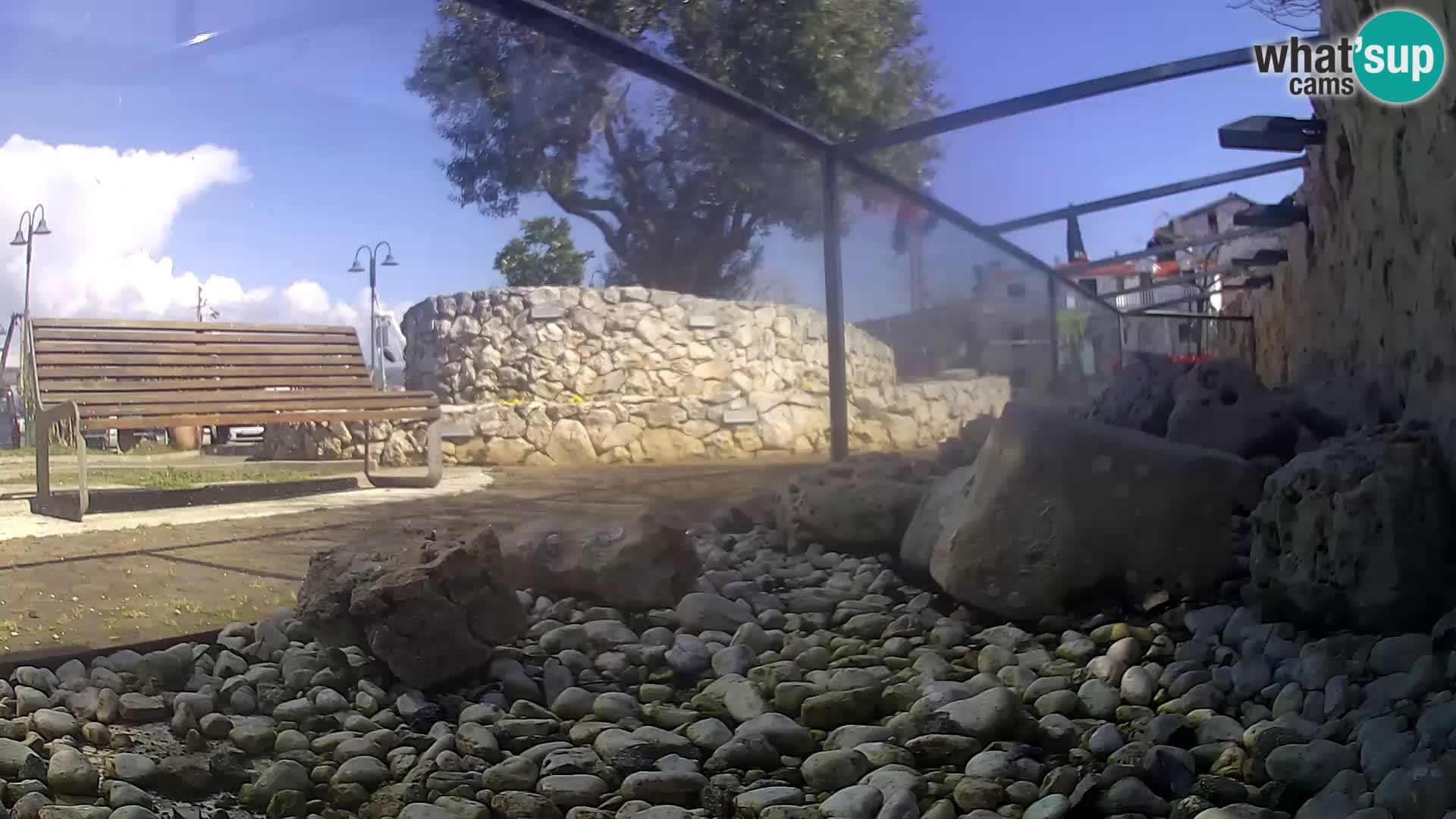 Aquario marino esterno –  Rogoznica livecam Croazia