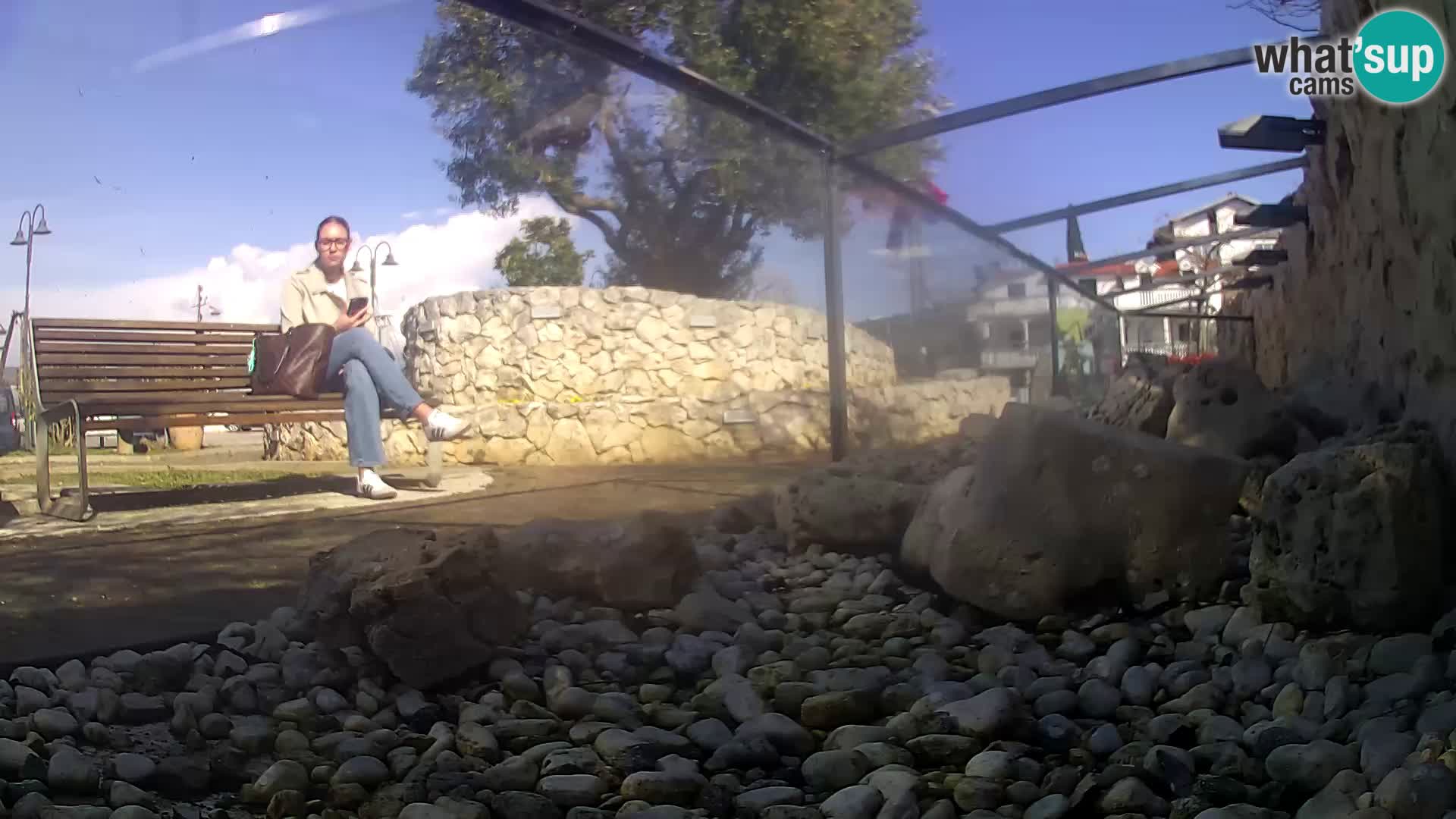 Vanjski morski akvarij Rogoznica web kamera Hrvatska