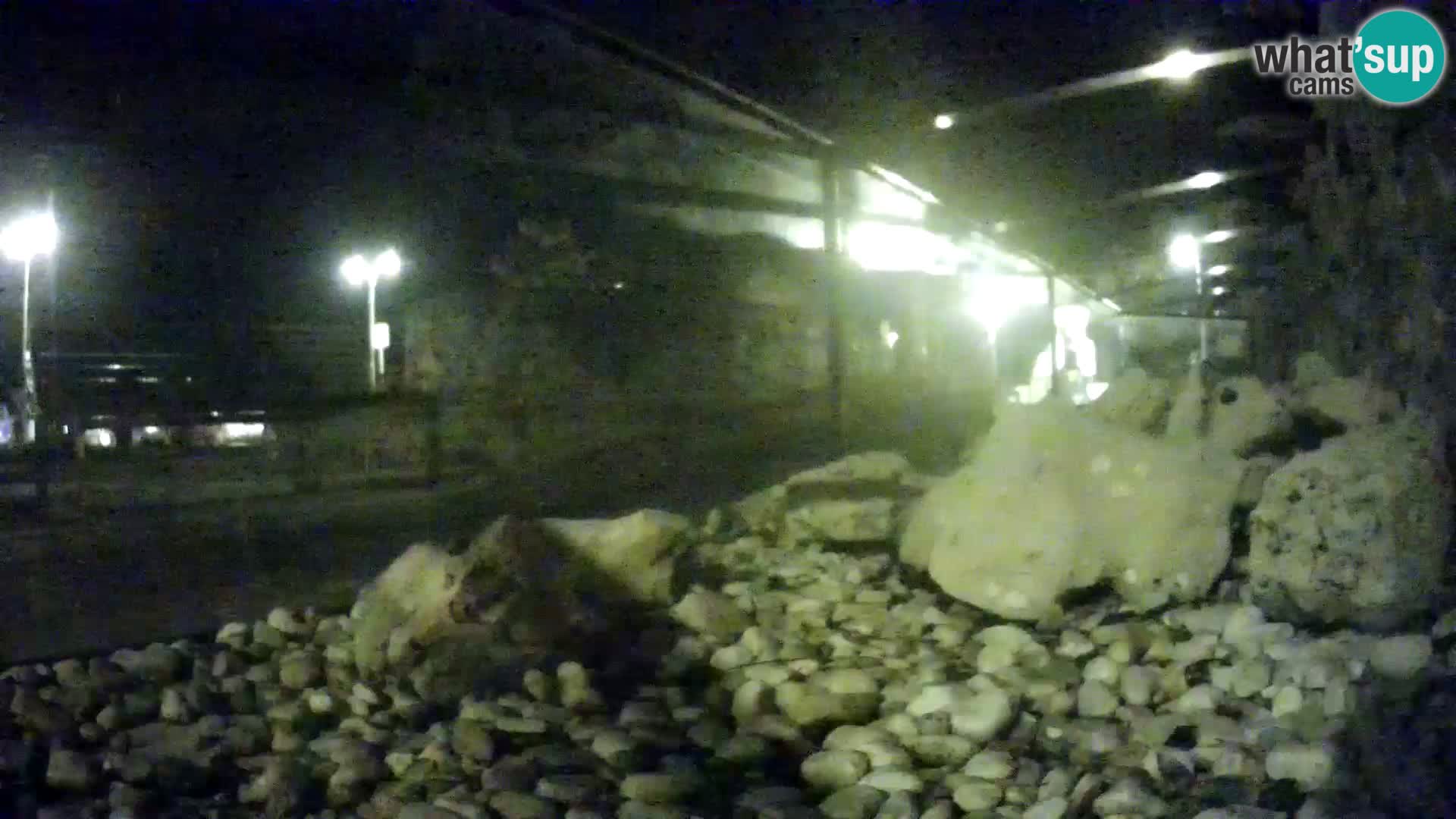 Marine Aquarium im Freien Rogoznica webcam Kroatien