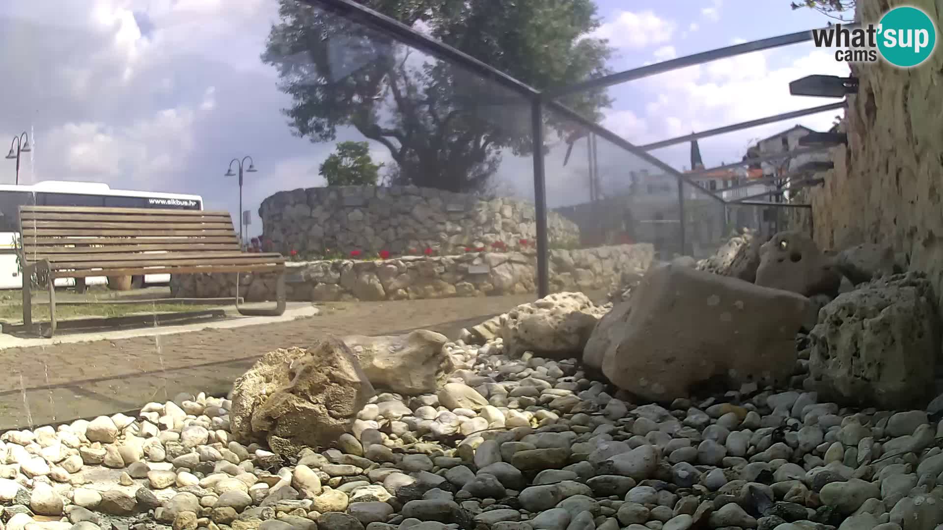 Aquario marino esterno –  Rogoznica livecam Croazia