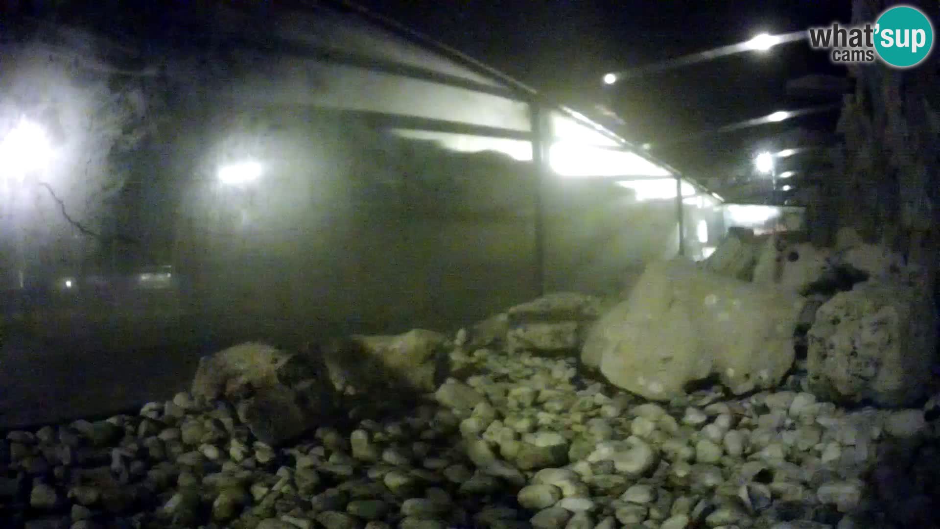 Marine Aquarium im Freien Rogoznica webcam Kroatien