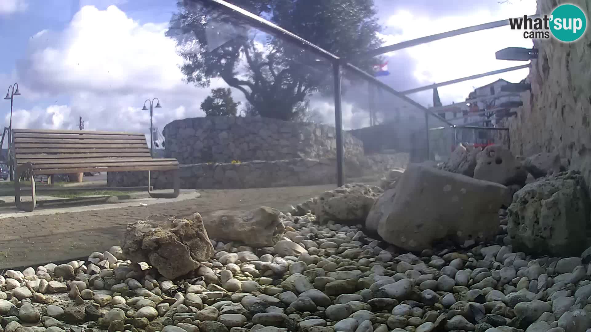 Acuario marino al aire libre Rogoznica webcam Croacia