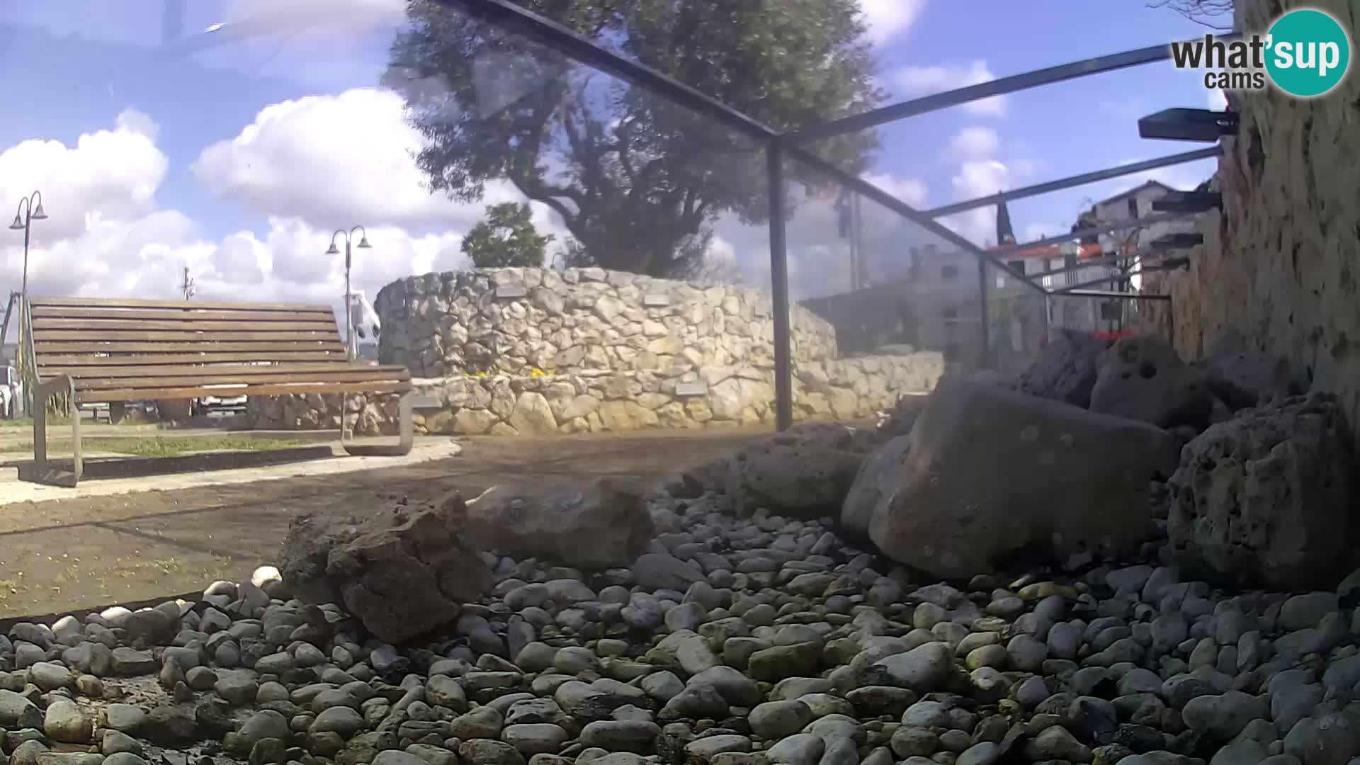 Vanjski morski akvarij Rogoznica web kamera Hrvatska