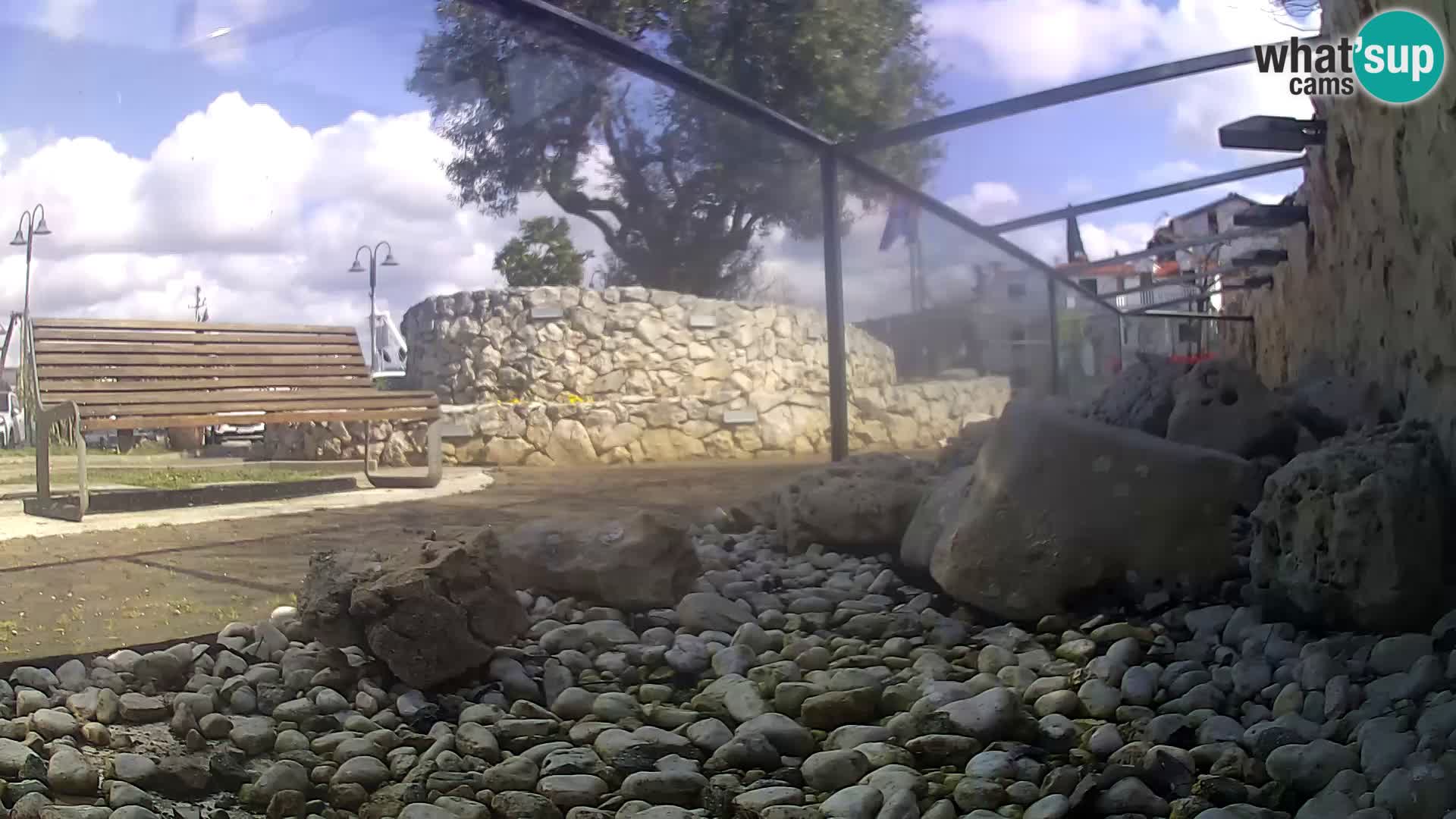 Unterwasserkamera Brijuni – Čamčarnica