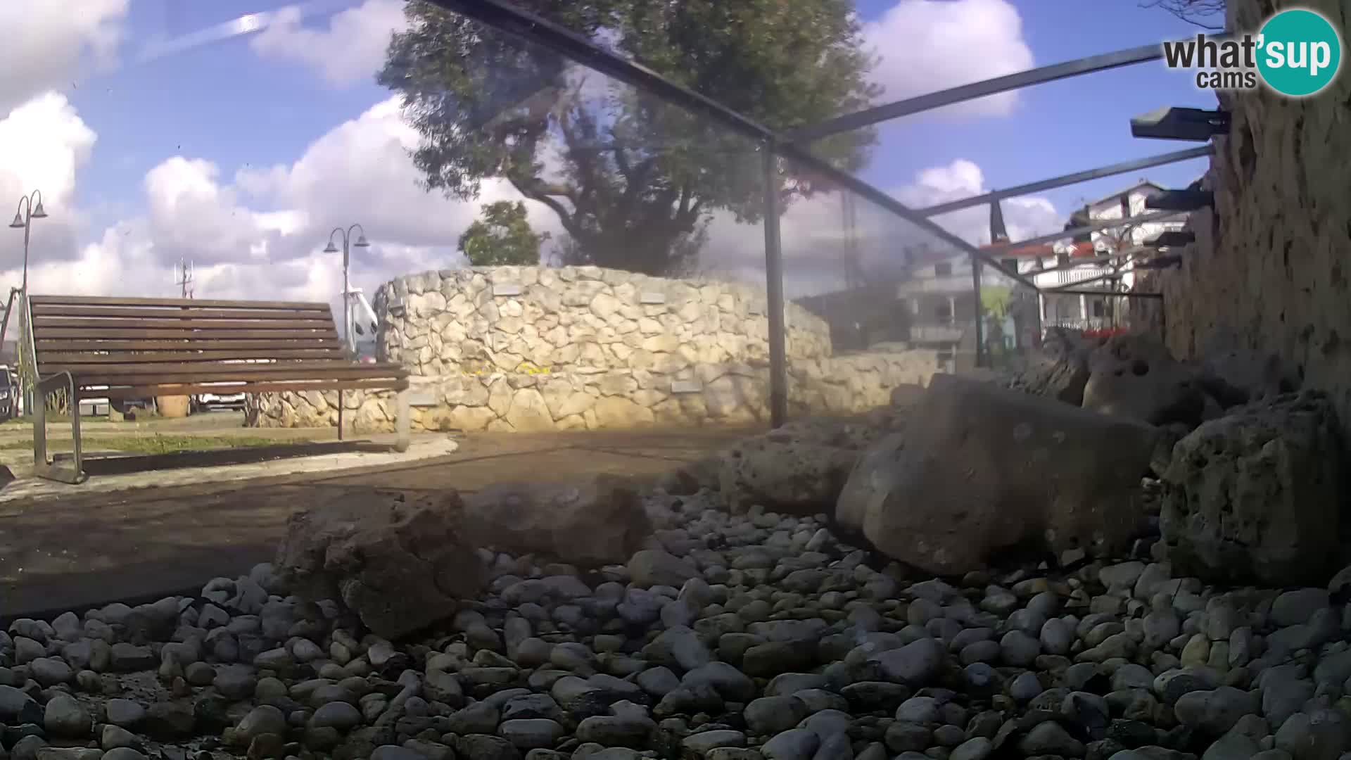 Vanjski morski akvarij Rogoznica web kamera Hrvatska