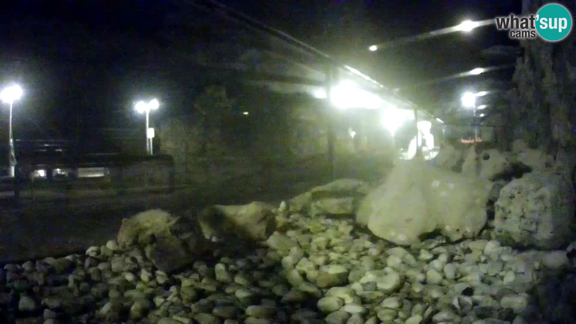 Outdoor Marine Aquarium Rogoznica webcam Croatia