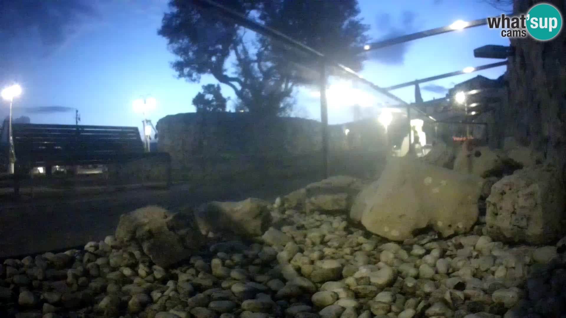 Outdoor Marine Aquarium Rogoznica webcam Croatia