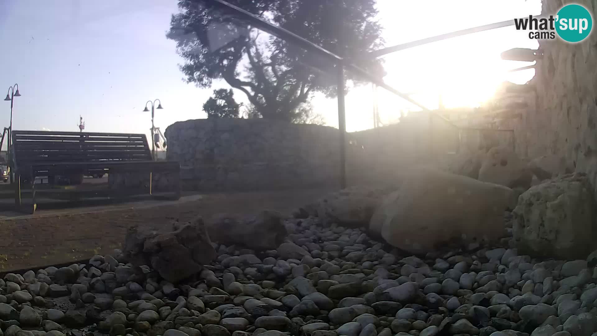 Outdoor Marine Aquarium Rogoznica webcam Croatia