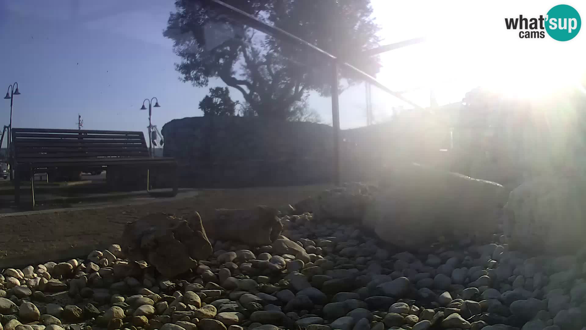 Outdoor Marine Aquarium Rogoznica webcam Croatia