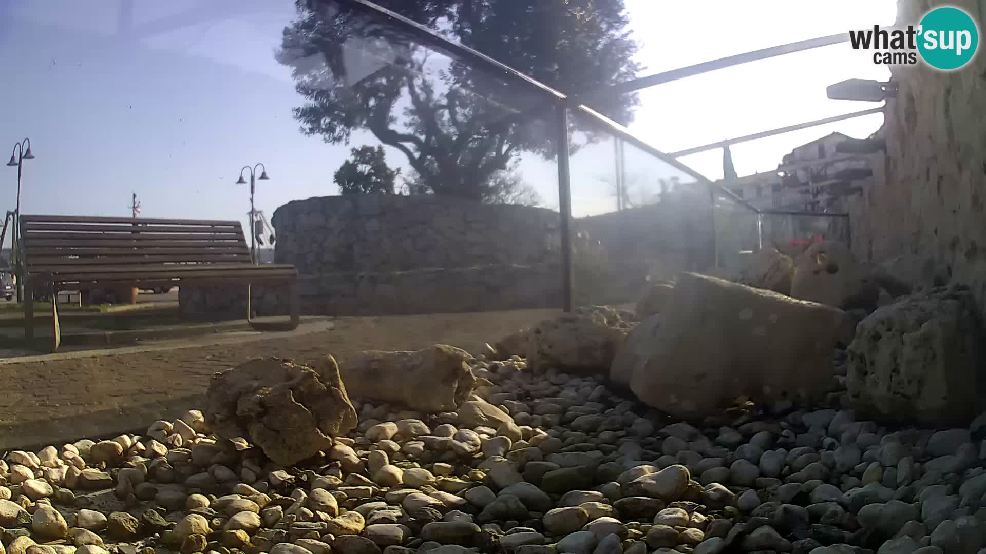 Outdoor Marine Aquarium Rogoznica webcam Croatia