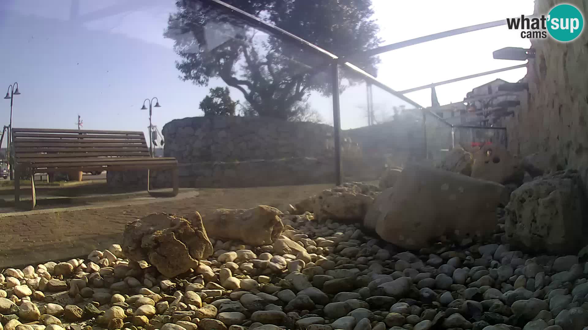 Outdoor Marine Aquarium Rogoznica webcam Croatia