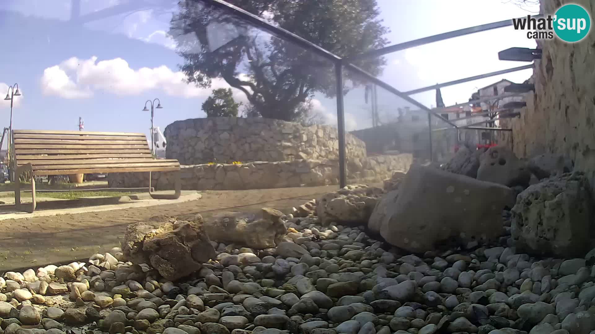 Outdoor Marine Aquarium Rogoznica webcam Croatia