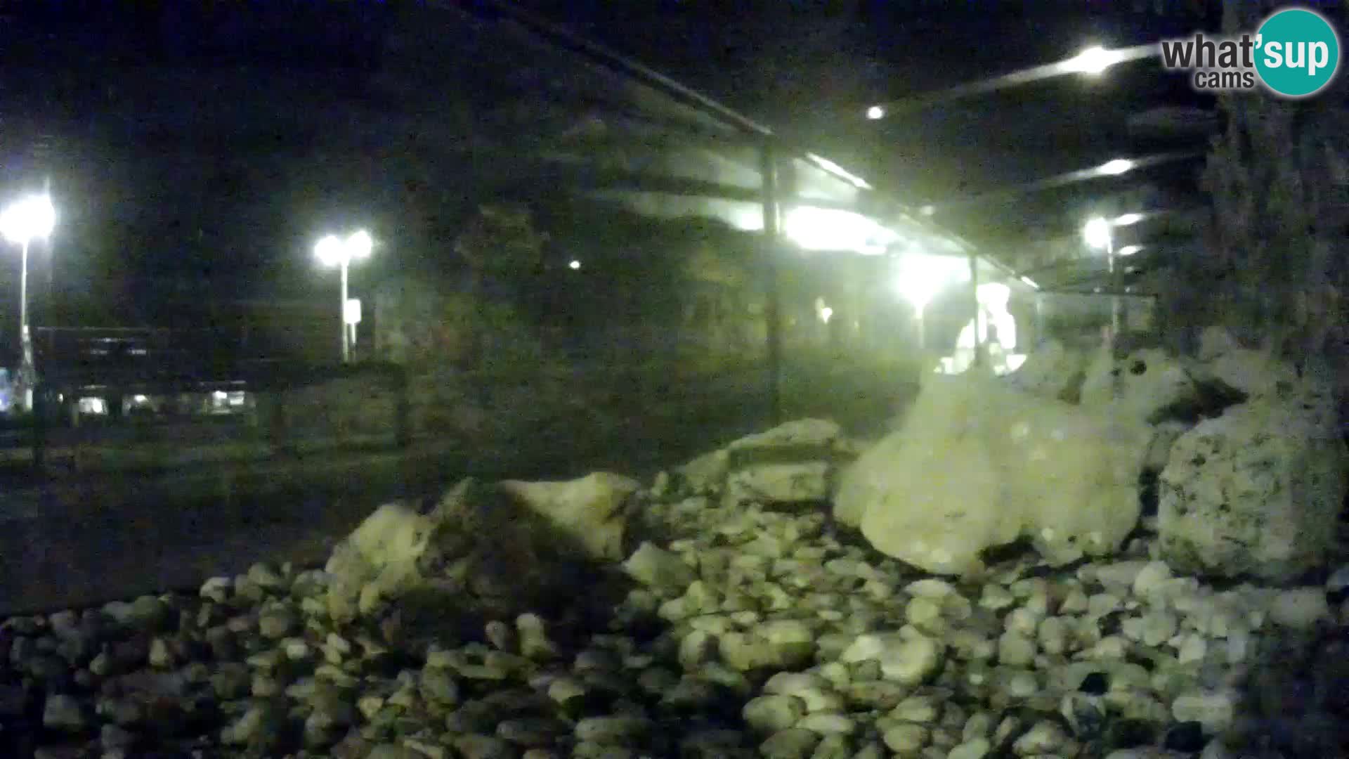 Outdoor Marine Aquarium Rogoznica webcam Croatia