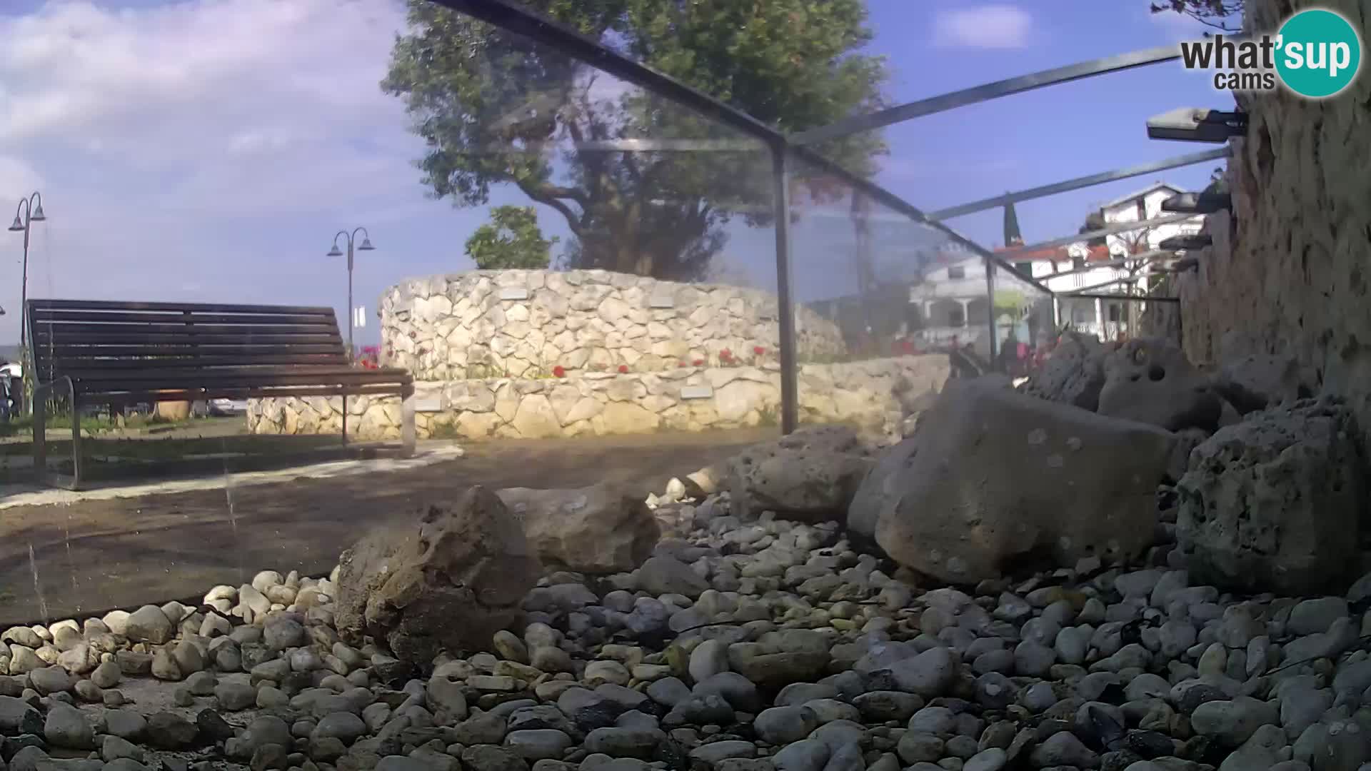 Outdoor Marine Aquarium Rogoznica webcam Croatia