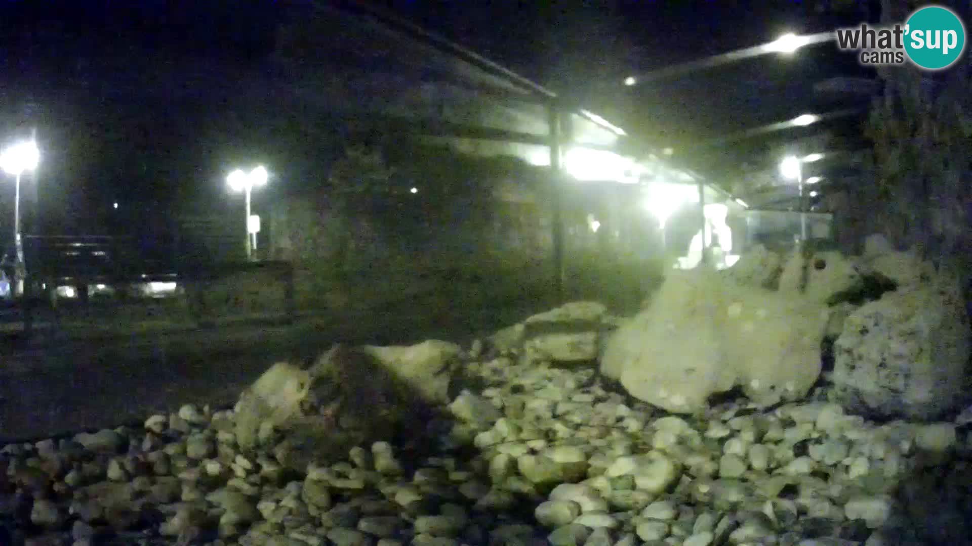 Vanjski morski akvarij Rogoznica web kamera Hrvatska