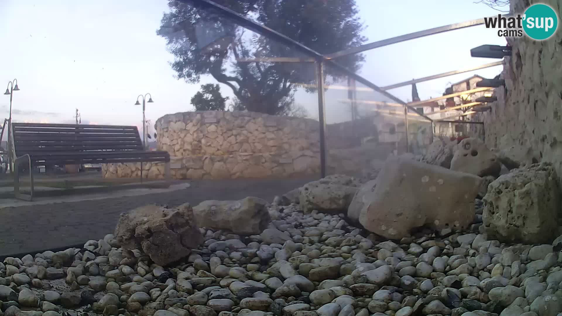 Outdoor Marine Aquarium Rogoznica webcam Croatia