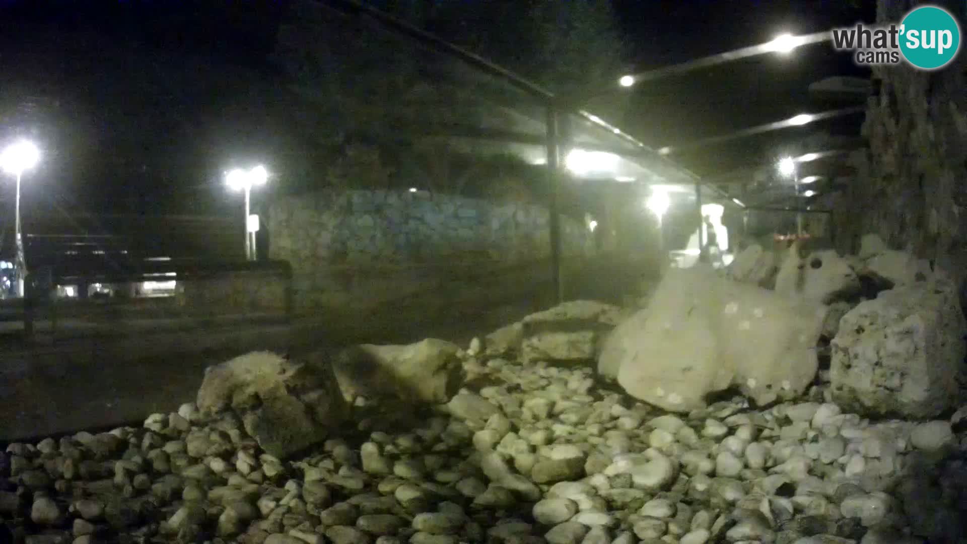 Outdoor Marine Aquarium Rogoznica webcam Croatia