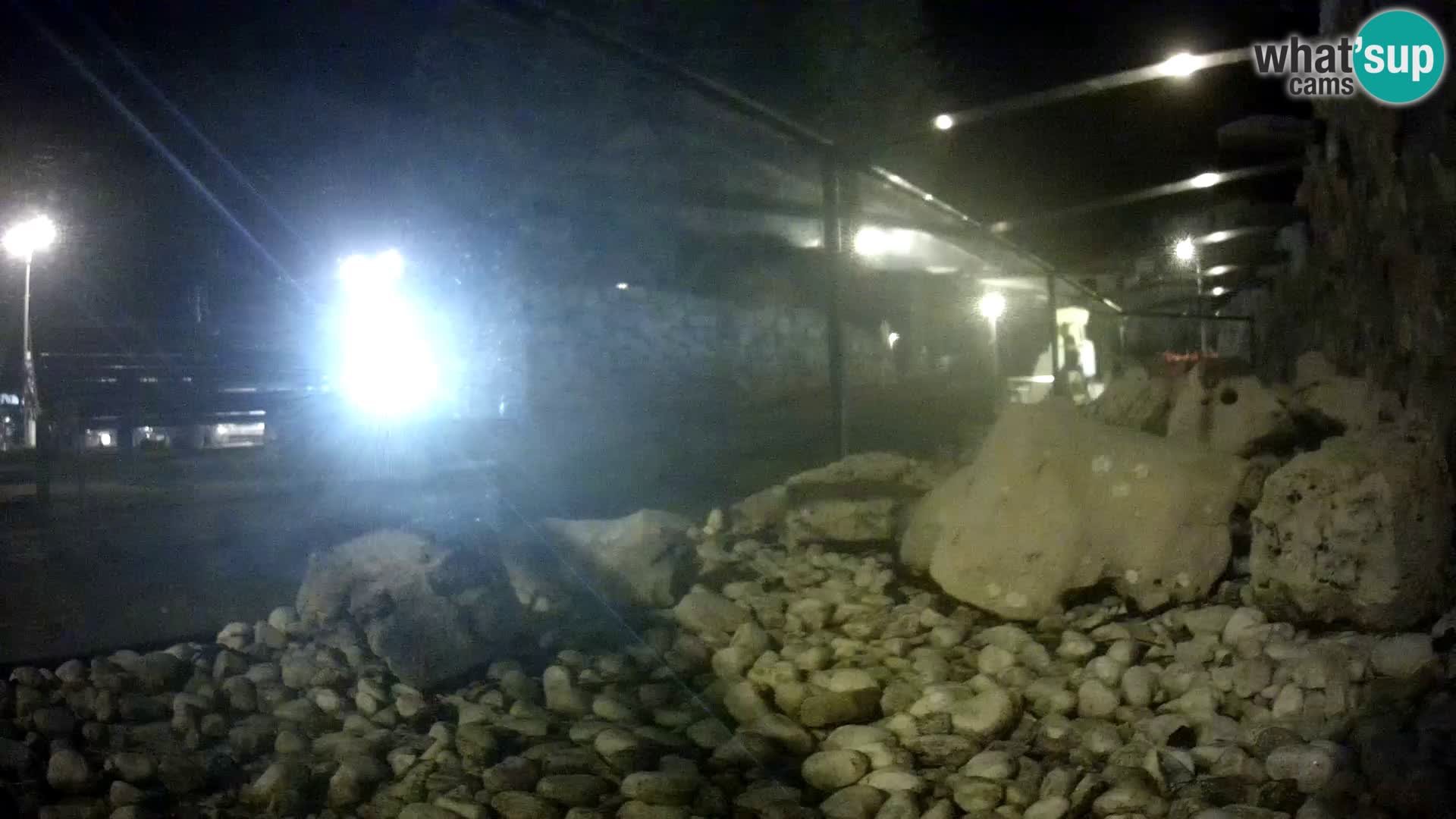 Outdoor Marine Aquarium Rogoznica webcam Croatia