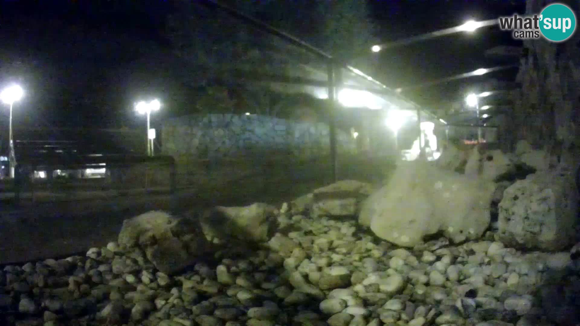 Acuario marino al aire libre Rogoznica webcam Croacia