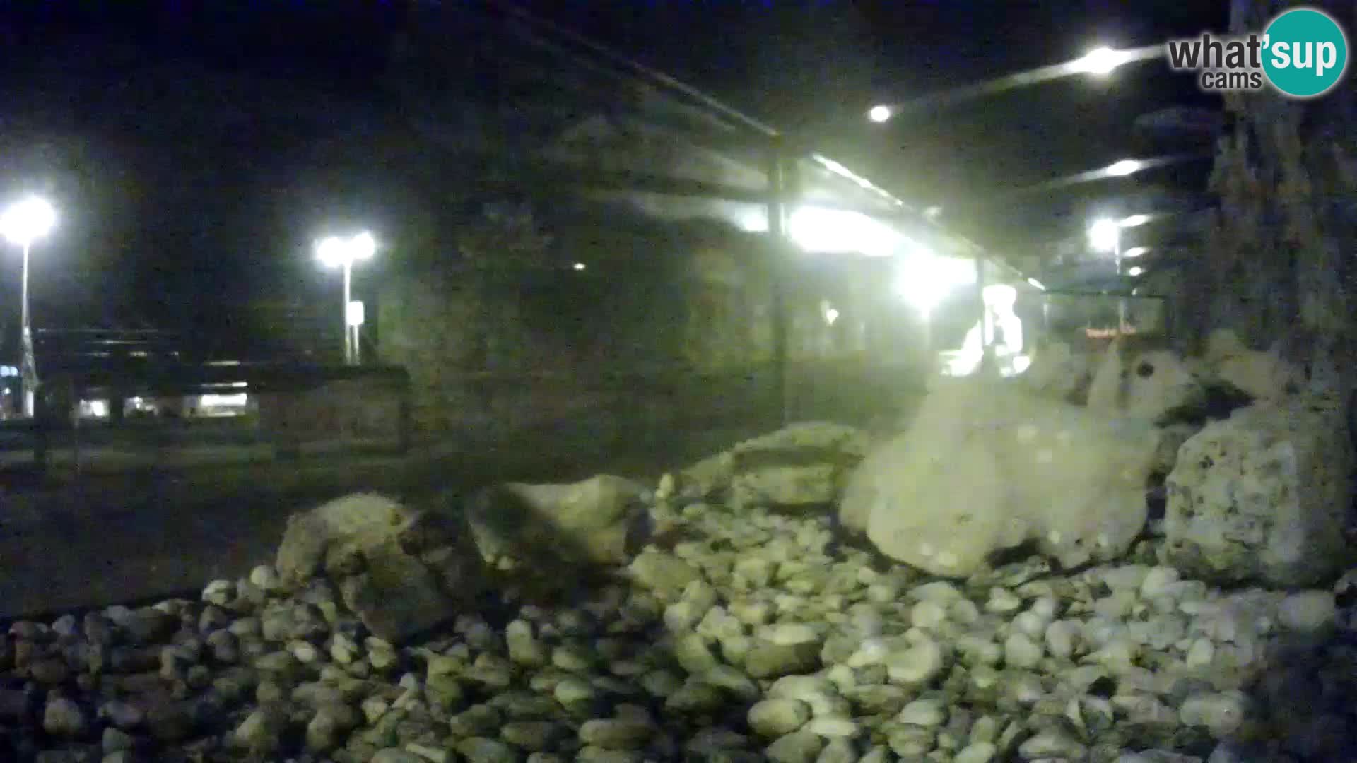 Outdoor Marine Aquarium Rogoznica webcam Croatia