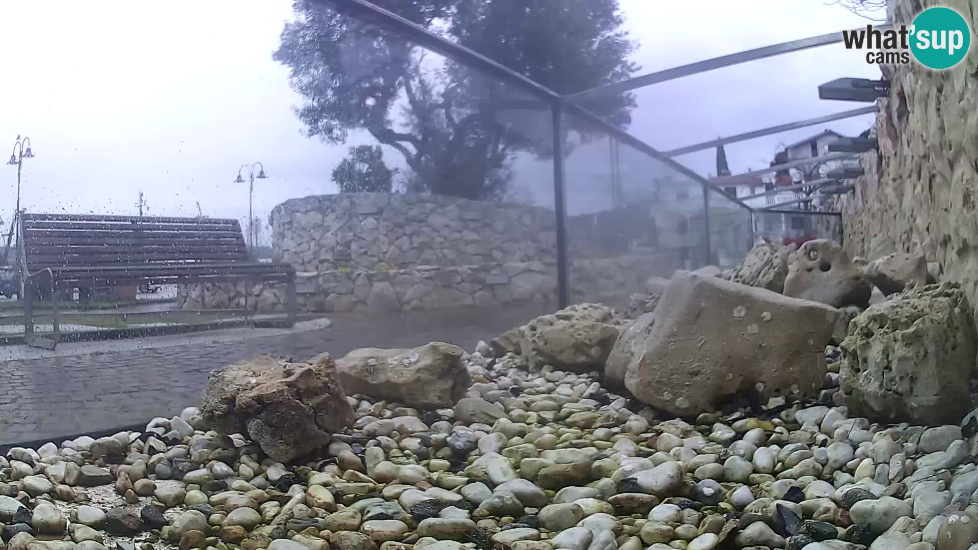 Zunanji morski akvarij Rogoznica spletna kamera Hrvaška