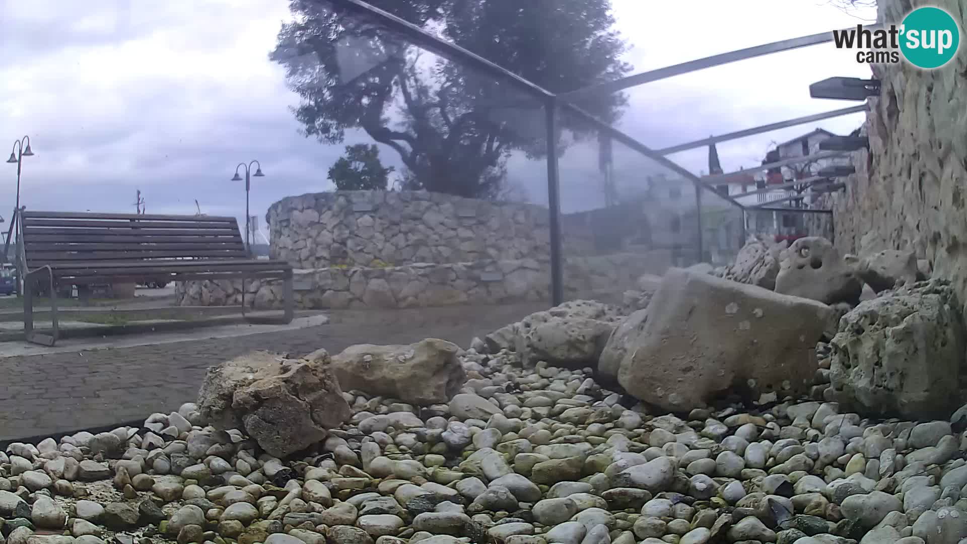 Acuario marino al aire libre Rogoznica webcam Croacia