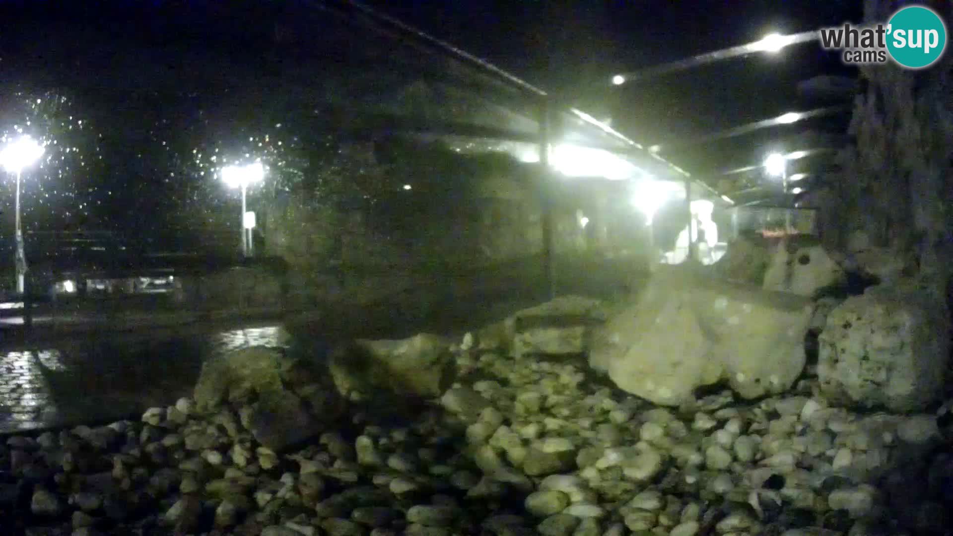 Outdoor Marine Aquarium Rogoznica webcam Croatia