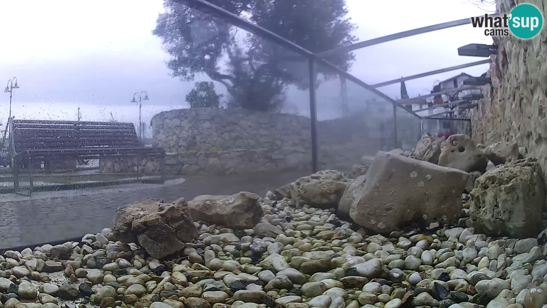 Zunanji morski akvarij Rogoznica spletna kamera Hrvaška